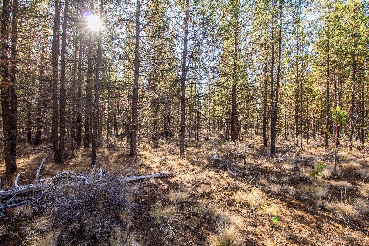 Pinewood Country Est - Land