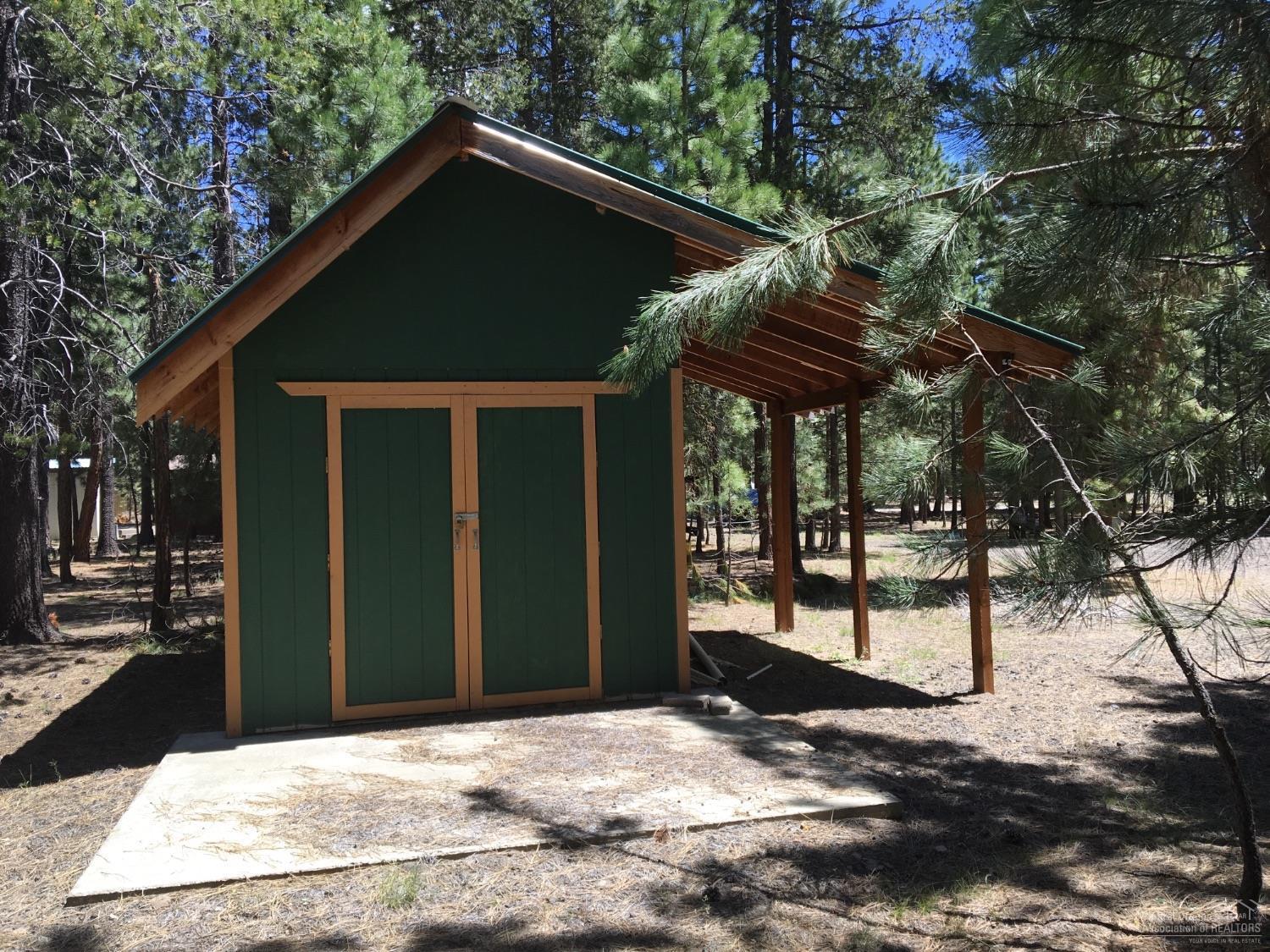 Ponderosa Pines - Land