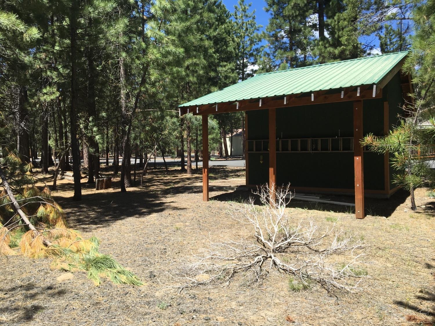 Ponderosa Pines - Land