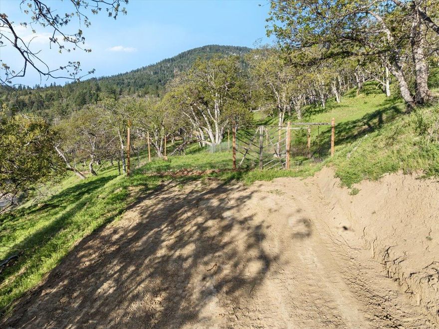 Incredible Ashland Opportunity! Two Buildable 5-Acre Lots w/Stunning Views! Discover the perfect blend of natural beauty & investment potential w/these 2 attached parcels @492 & 496 Conifer Way. With grand views of the S. OR hills, these lots offer multiple homesite options w/excellent Southern exposure. Both lots confirmed buildable by Jackson County—build a cozy cabin or your dream home on 1 & create an income-producing property or multigenerational living space on the other. Well on 496 w/two 2,500-gal water storage tanks, gravity-fed to pad/garden area. ATT septic approvals on both. Electricity @street. Potential to expand- Adjoining 2 - 5ac tax lots at 500 Conifer Way are for sale—buy all 20 ac for package discount! Enjoy hiking, biking & winter sports nearby. Just 10 min to Emigrant Lake & 15 min to downtown Ashland for dining, shopping & the OR Shakespeare Festival. A rare chance to own a slice of paradise w/investment upside. Choose your favorite view and build your dream home