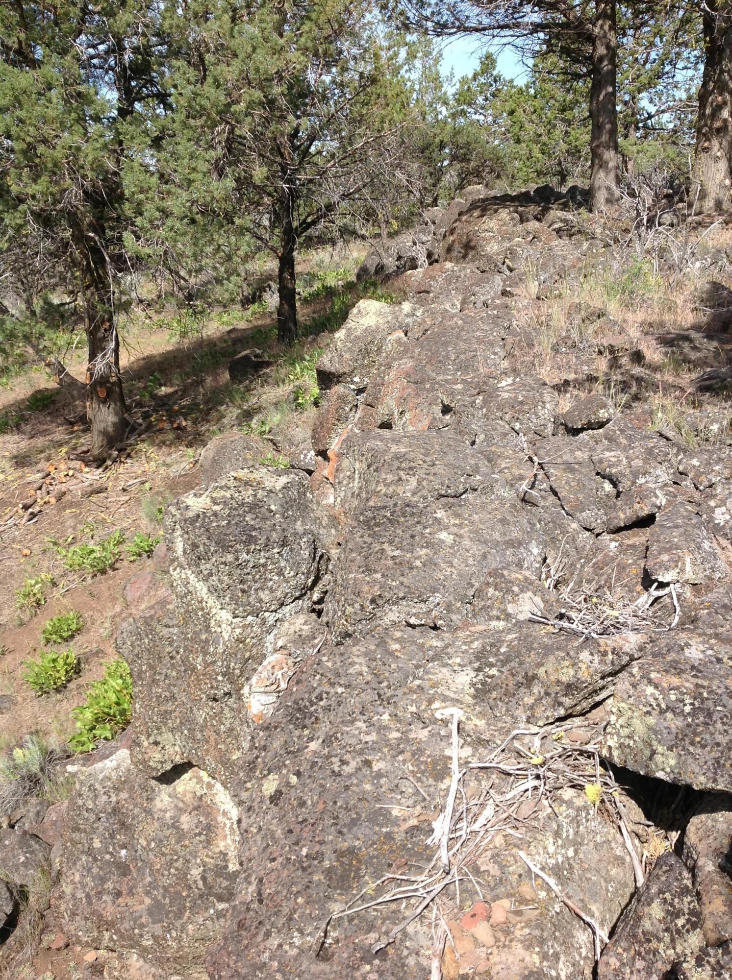 Klamath Falls Forest Estates Hwy 66 Unit Plat 4 - Land