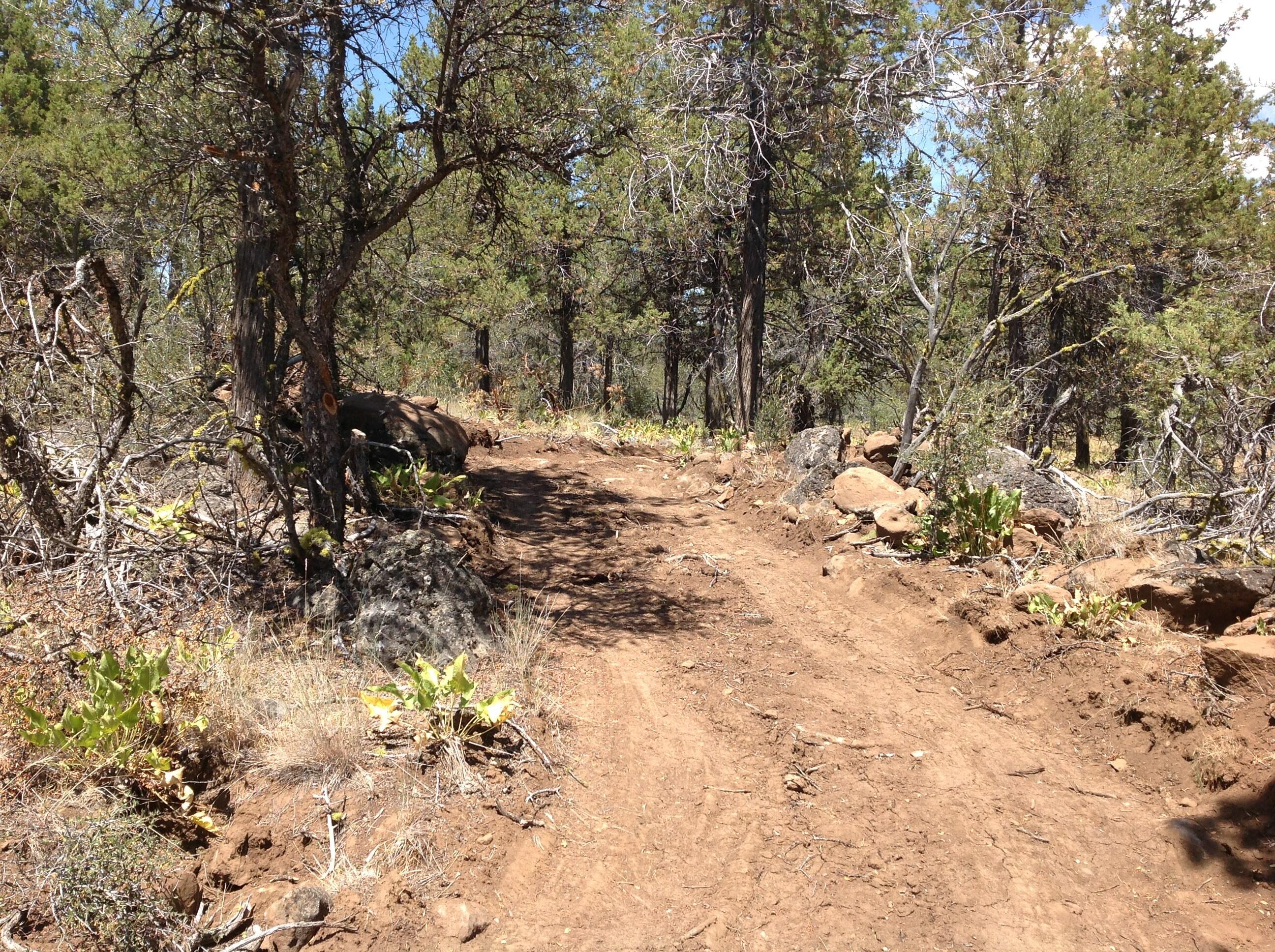 Klamath Falls Forest Estates Hwy 66 Unit Plat 4 - Land