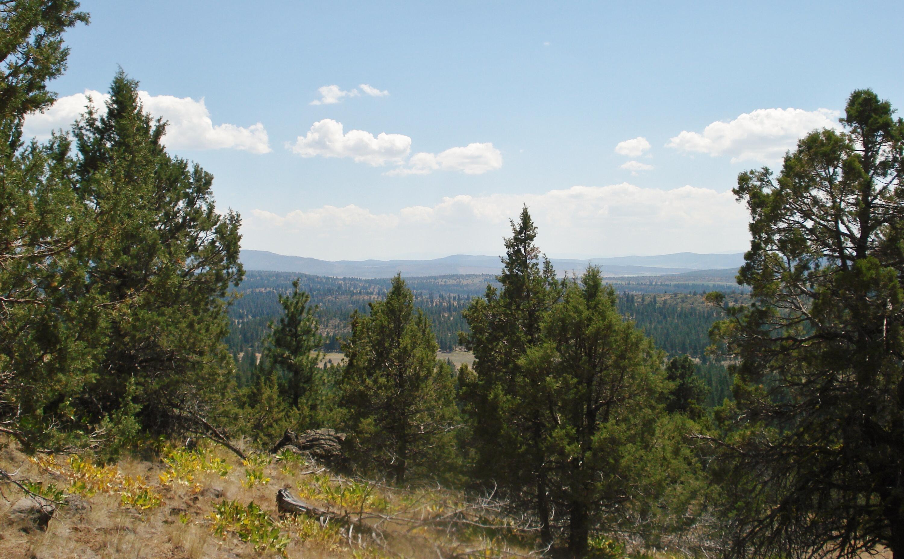 Klamath Falls Forest Estates Hwy 66 Unit Plat 4 - Land