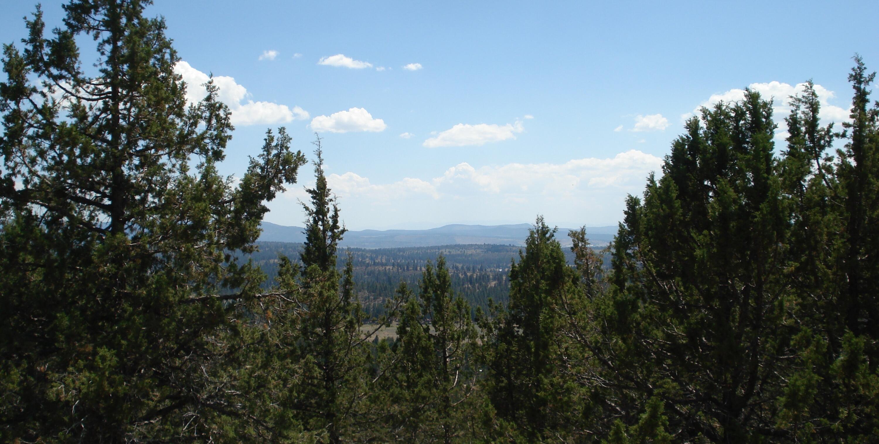 Klamath Falls Forest Estates Hwy 66 Unit Plat 4 - Land