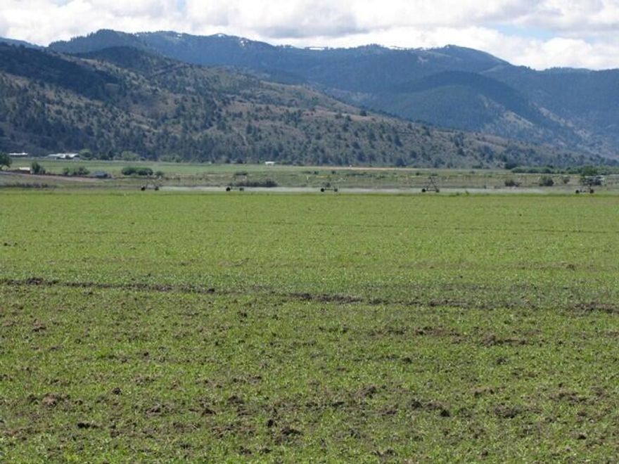 One Party Listing. Crane Creek Ranch in Lakeview, Oregon.    657 acres of grazing and farmland irrigated by 3 pivots, 4 wells plus seasonal creek water.  Water rights for appx. 492 acres.  Features include 40X60 Shop. 60x160 Hay Barn, 2 Bedroom MH. Surprise Valley Electric.  Buyer to perform own due diligence regarding water rights, zoning, taxes and Manufactured Homes.  Sold AS-IS, WHERE-IS.
