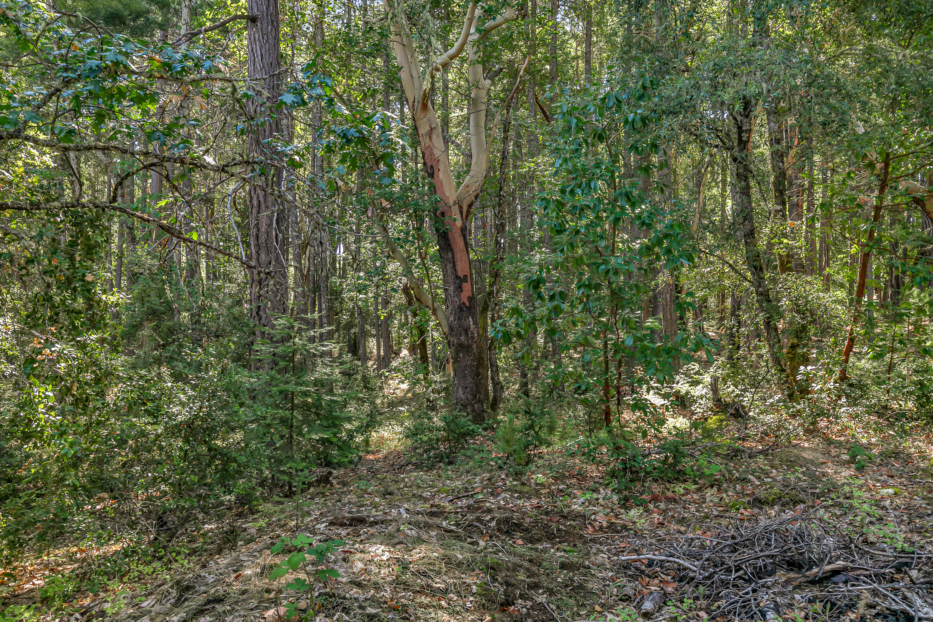 Williams Crossing - Residential