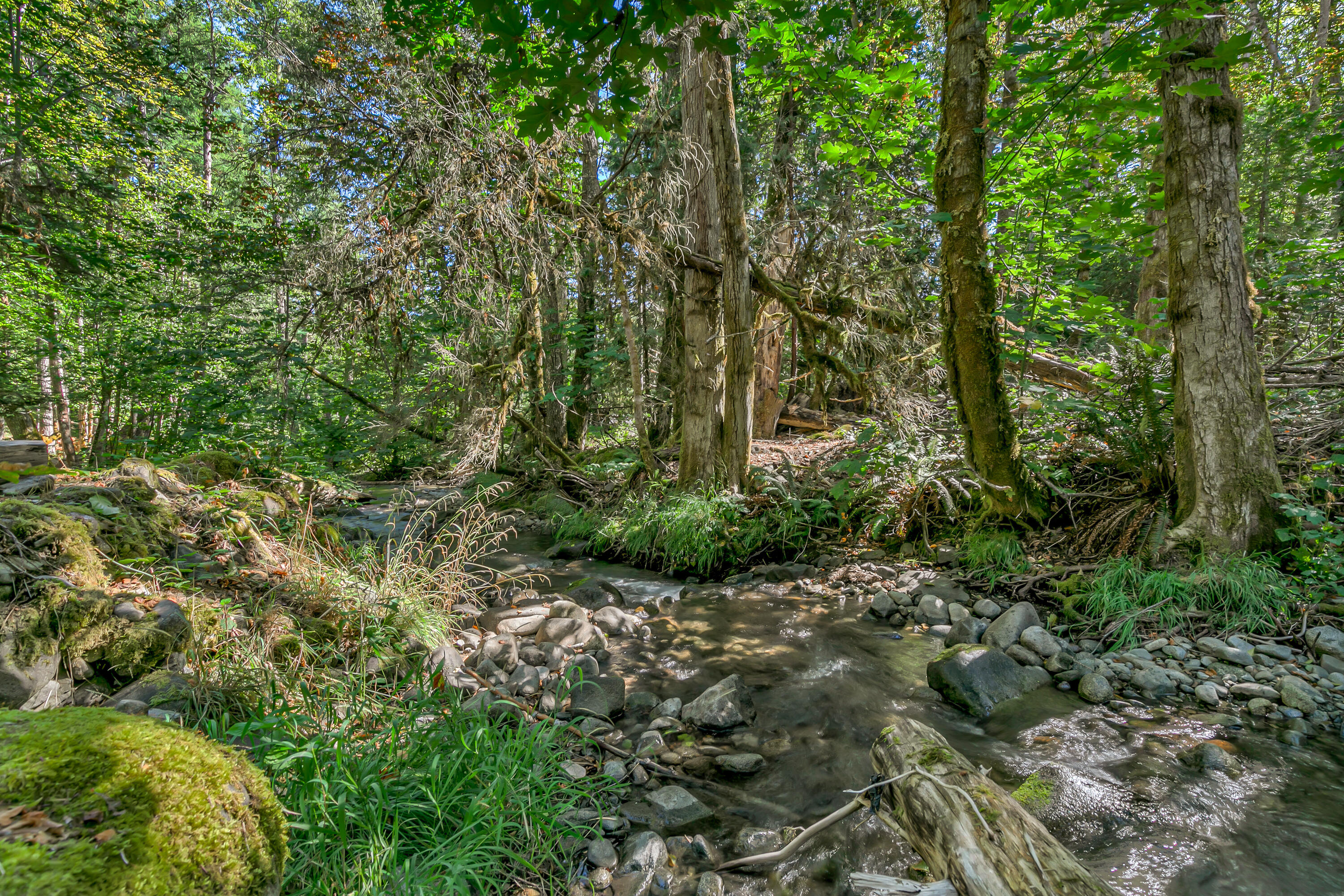 Williams Crossing - Residential