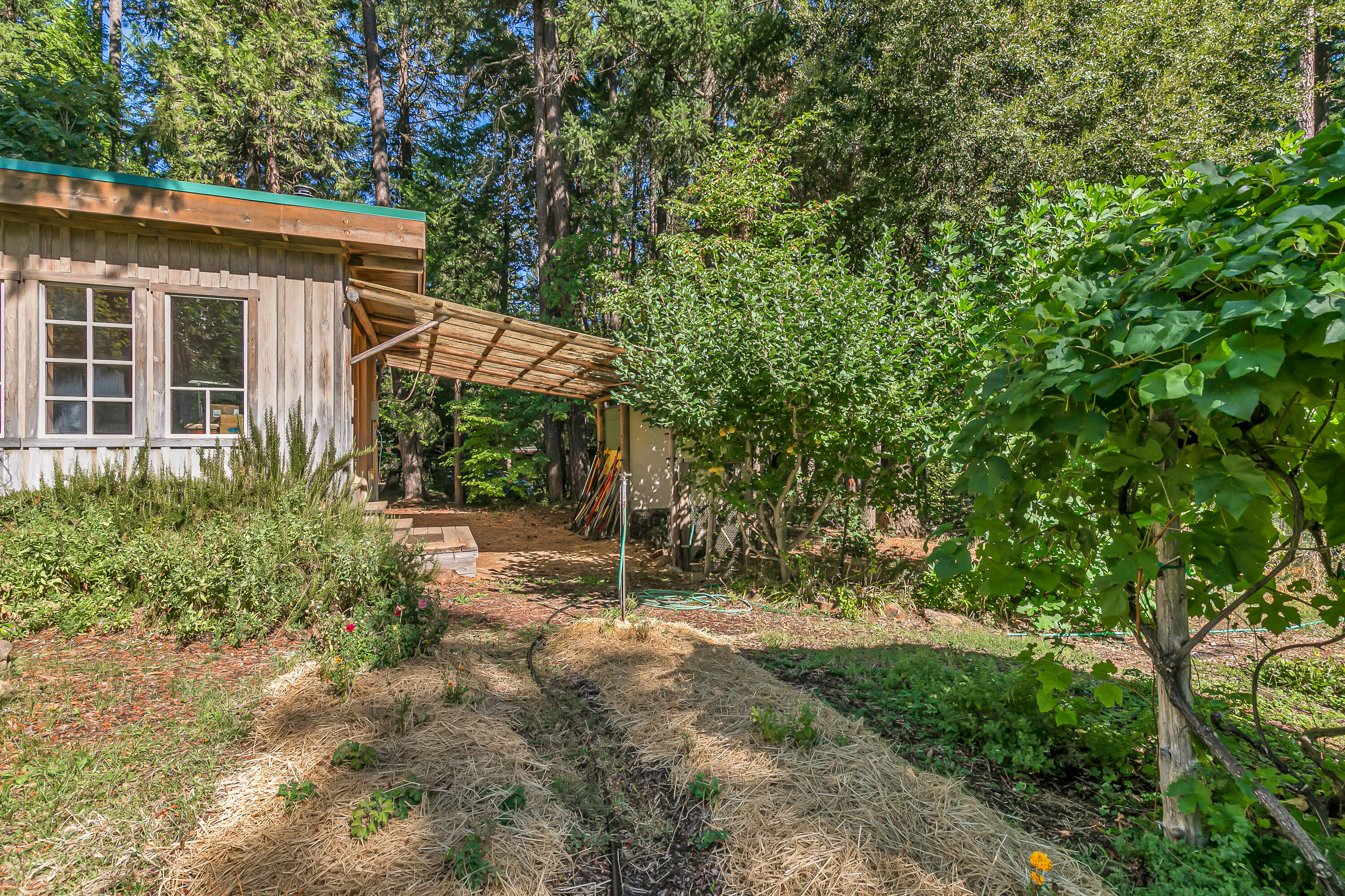 Williams Crossing - Residential