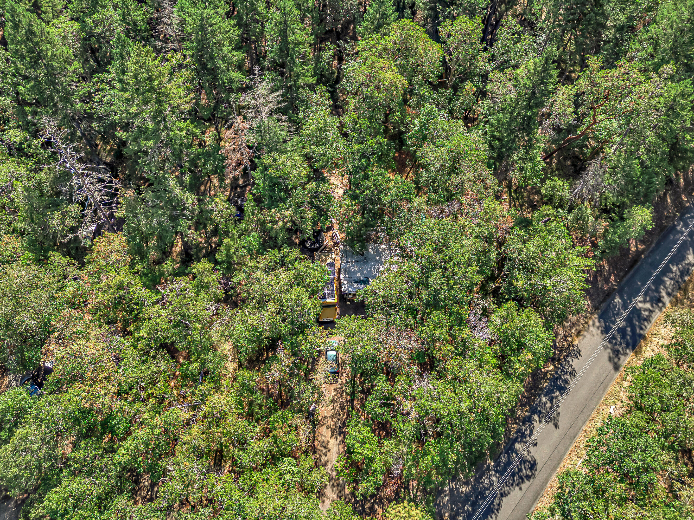 Williams Crossing - Residential