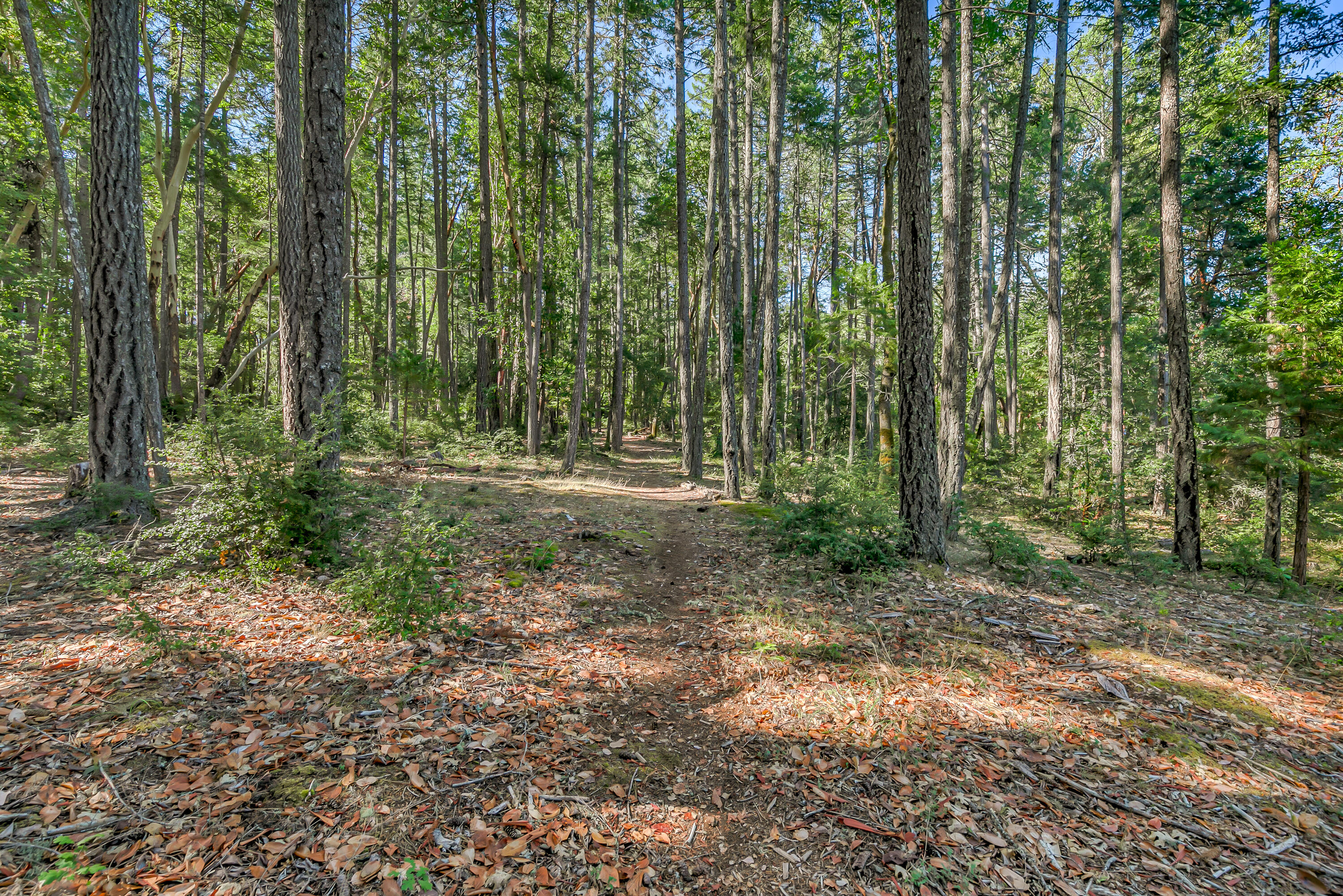 Williams Crossing - Residential