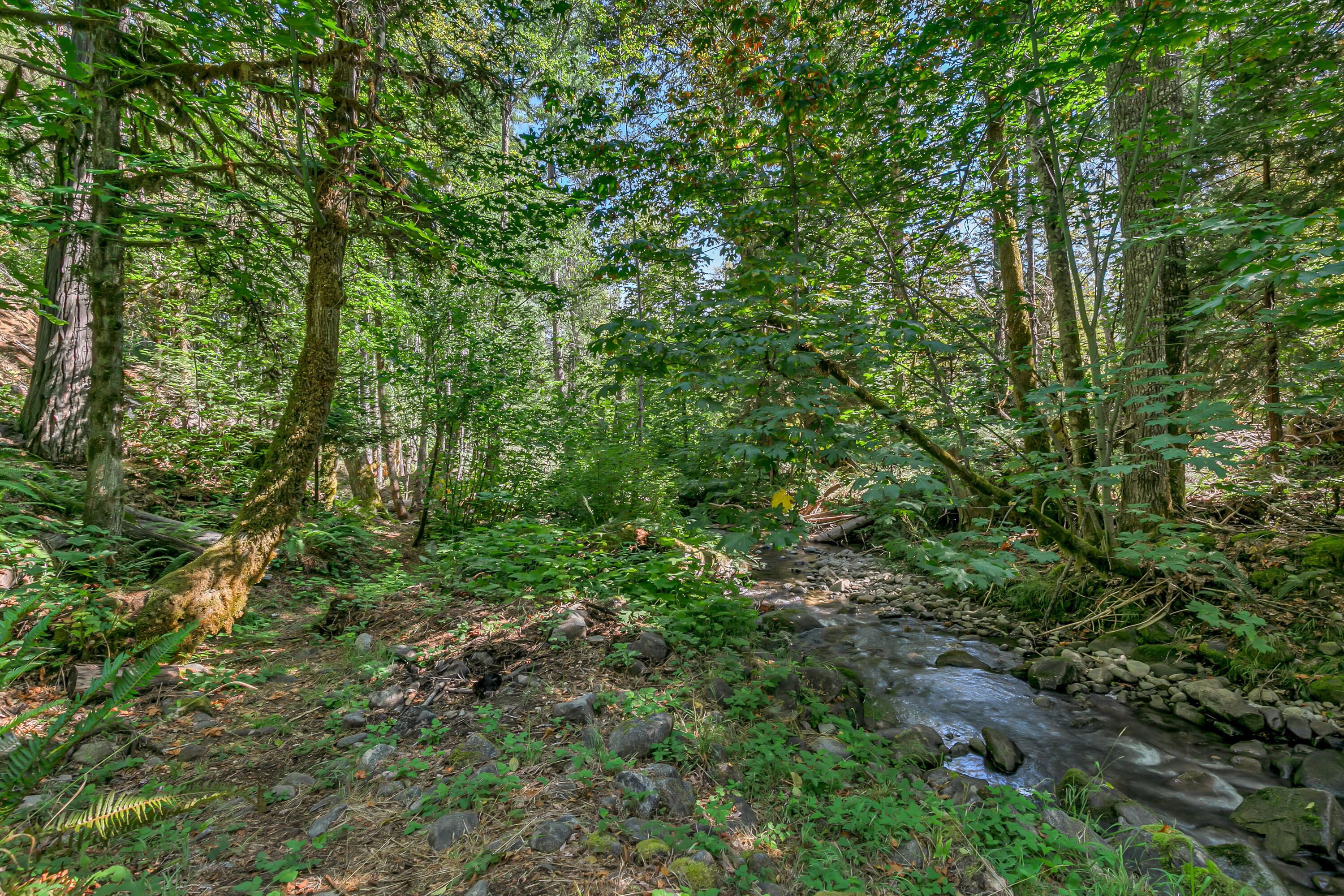 Williams Crossing - Residential