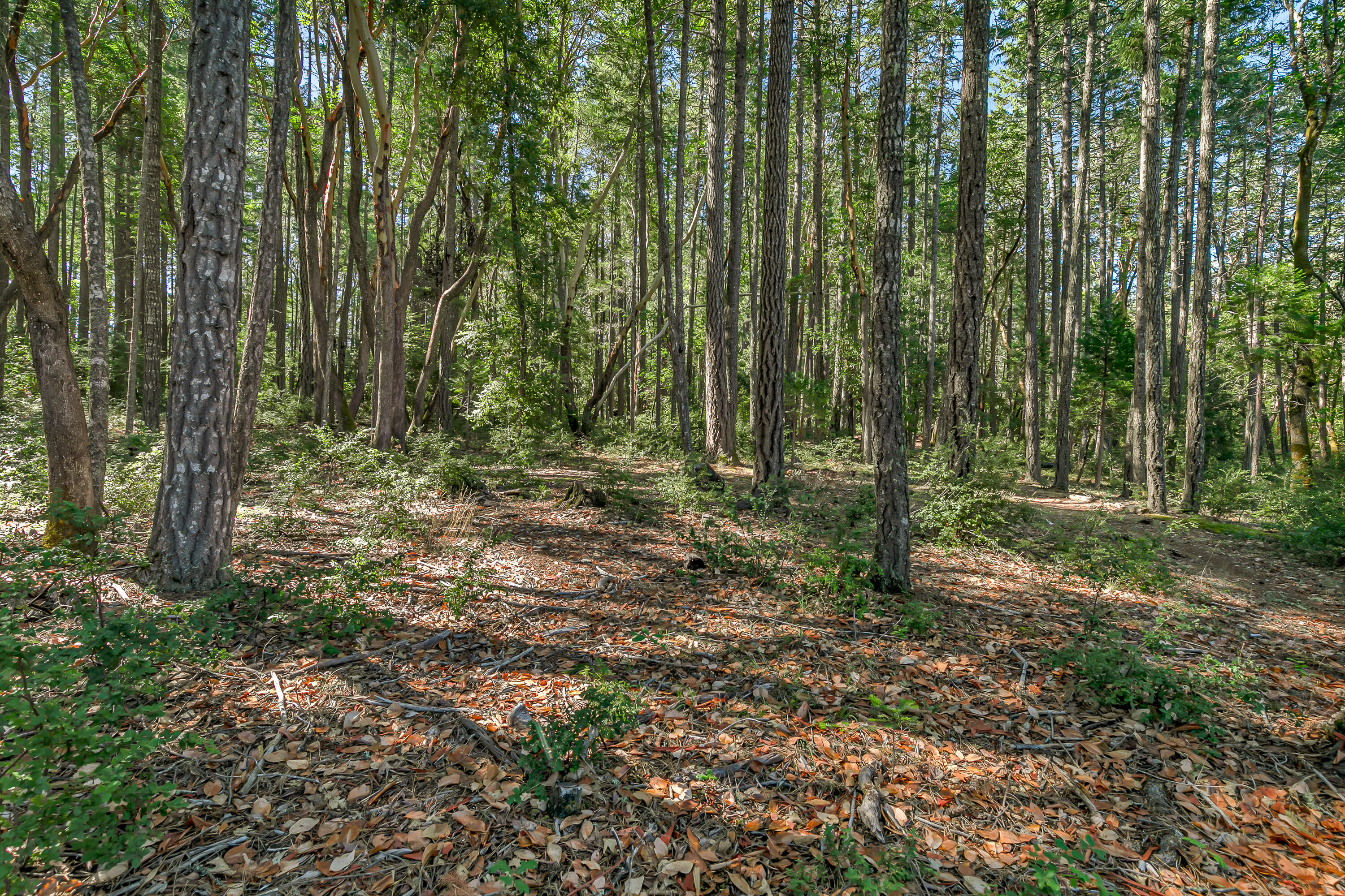 Williams Crossing - Residential