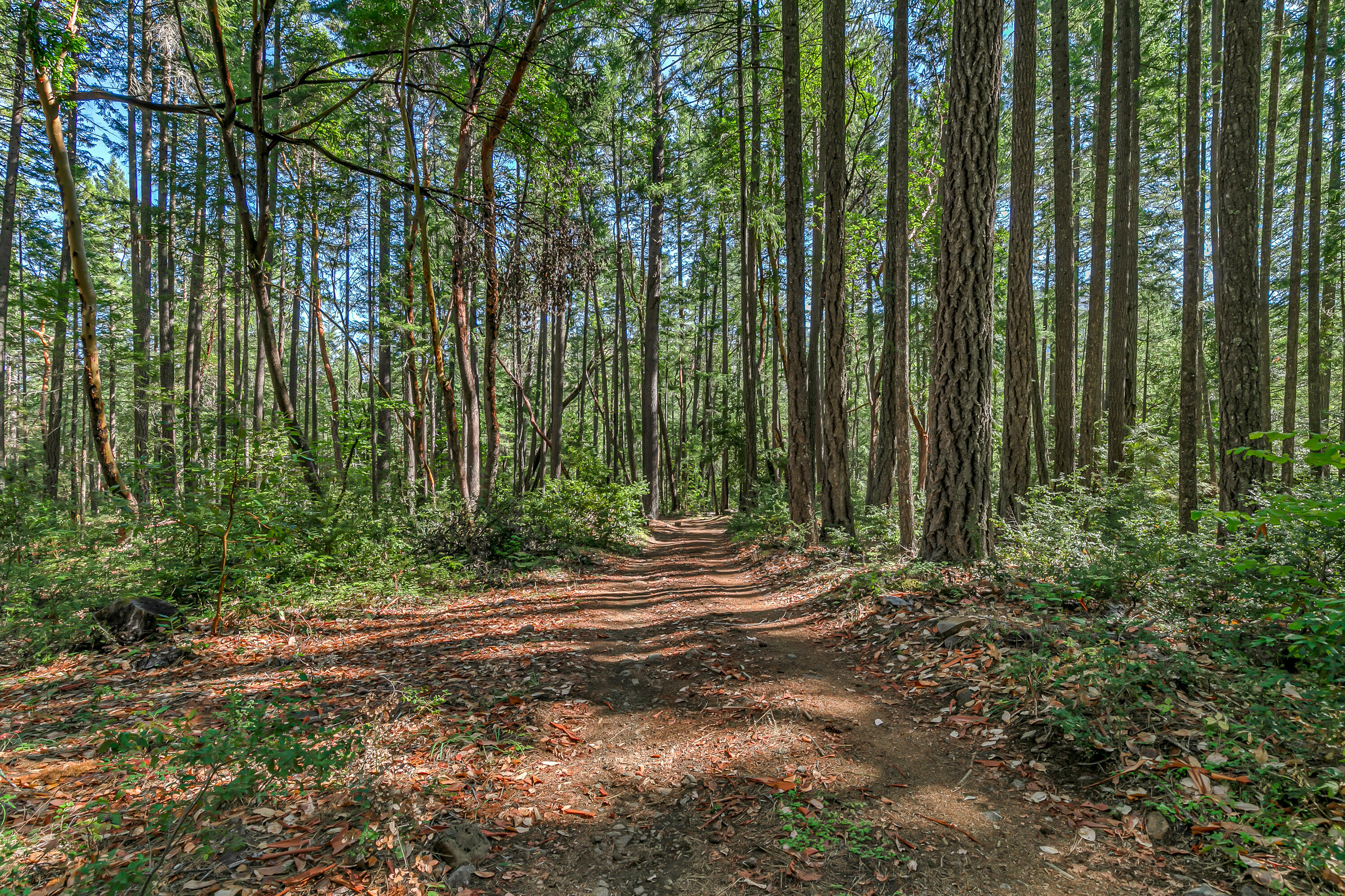 Williams Crossing - Residential