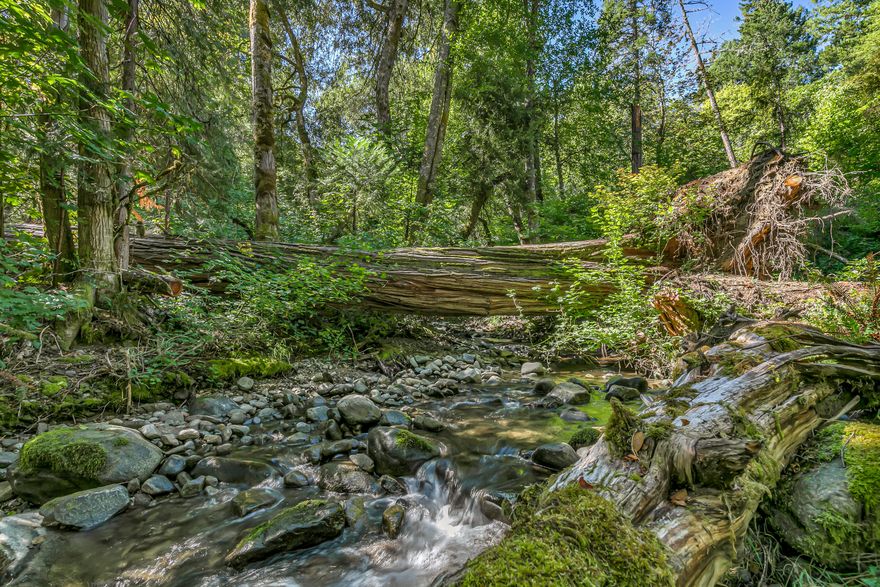 Serene retreat property in Williams Valley on year round Rock Creek. Situated on 12+ ac. w/ one of kind custom blt timber framed 1800 sq ft cedar sided home. The 3 detached  living quarters that have been used as rentals offers extra income. This nicely wooded private, park like property has old growth trees along the creek trail, w/ a nice mix of open areas, established organic gardens & orchards. Extra living quarters have their own access- Straw-bale studio w/ loft, own kitchen & bth, 500 sq ft w/ garden area & 2 green houses. Creek cabin w/ loft & balcony, overlooks the creek. Trailer/Cabin hybrid w/ bth & kitchen. Also a RV hookup area w/ travel trailer overlooking the creek. Additional outbuildings are a 300 sq ft garden studio & a 500 sq ft shop. Wired & insulated 40' shipping container, separate firewood shed w/ 4 additional storage sheds. To top it off there is a basketball court. For the outdoor enthusiast easy access to Grayback Mountain trails at the end of Rock Crk Rd.