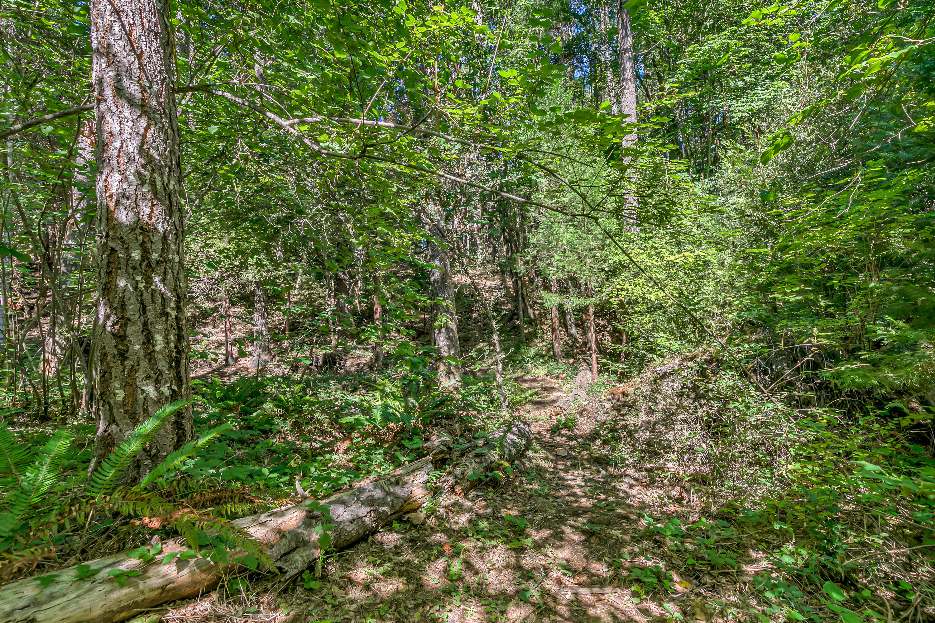 Williams Crossing - Residential