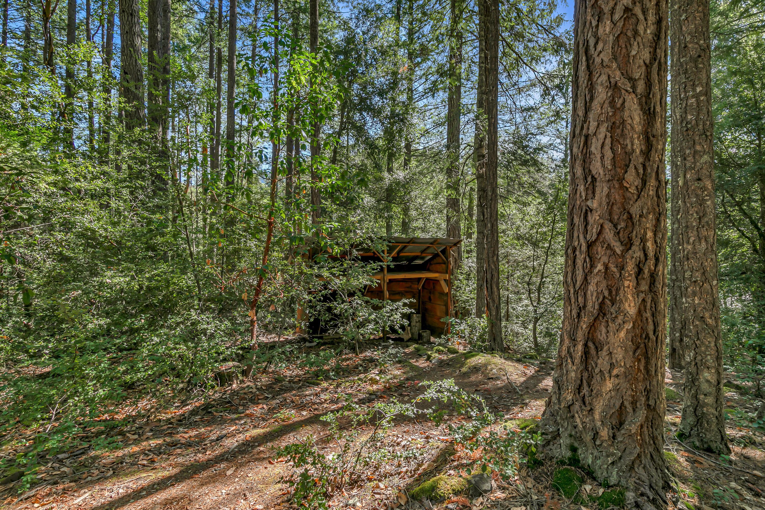 Williams Crossing - Residential