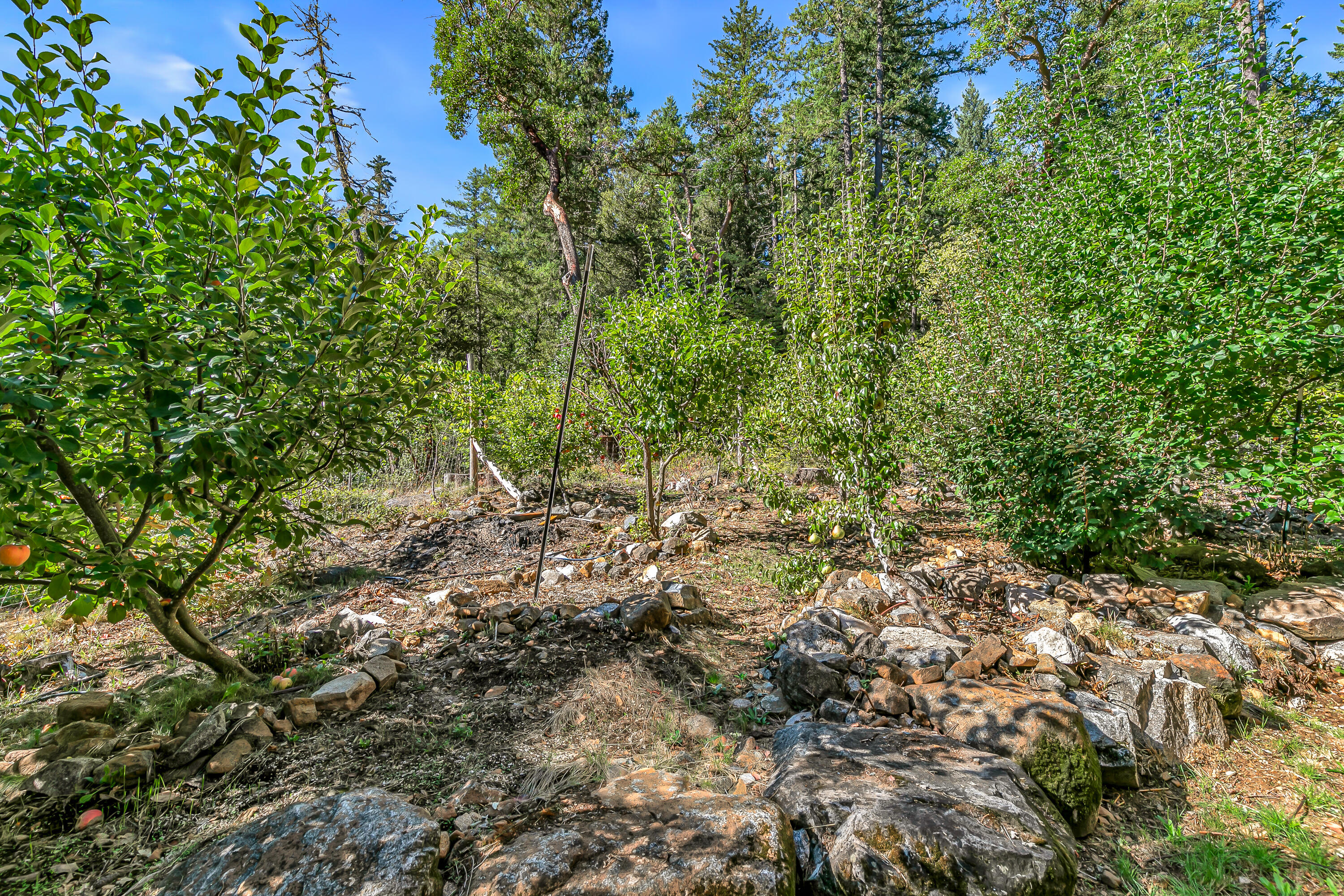 Williams Crossing - Residential