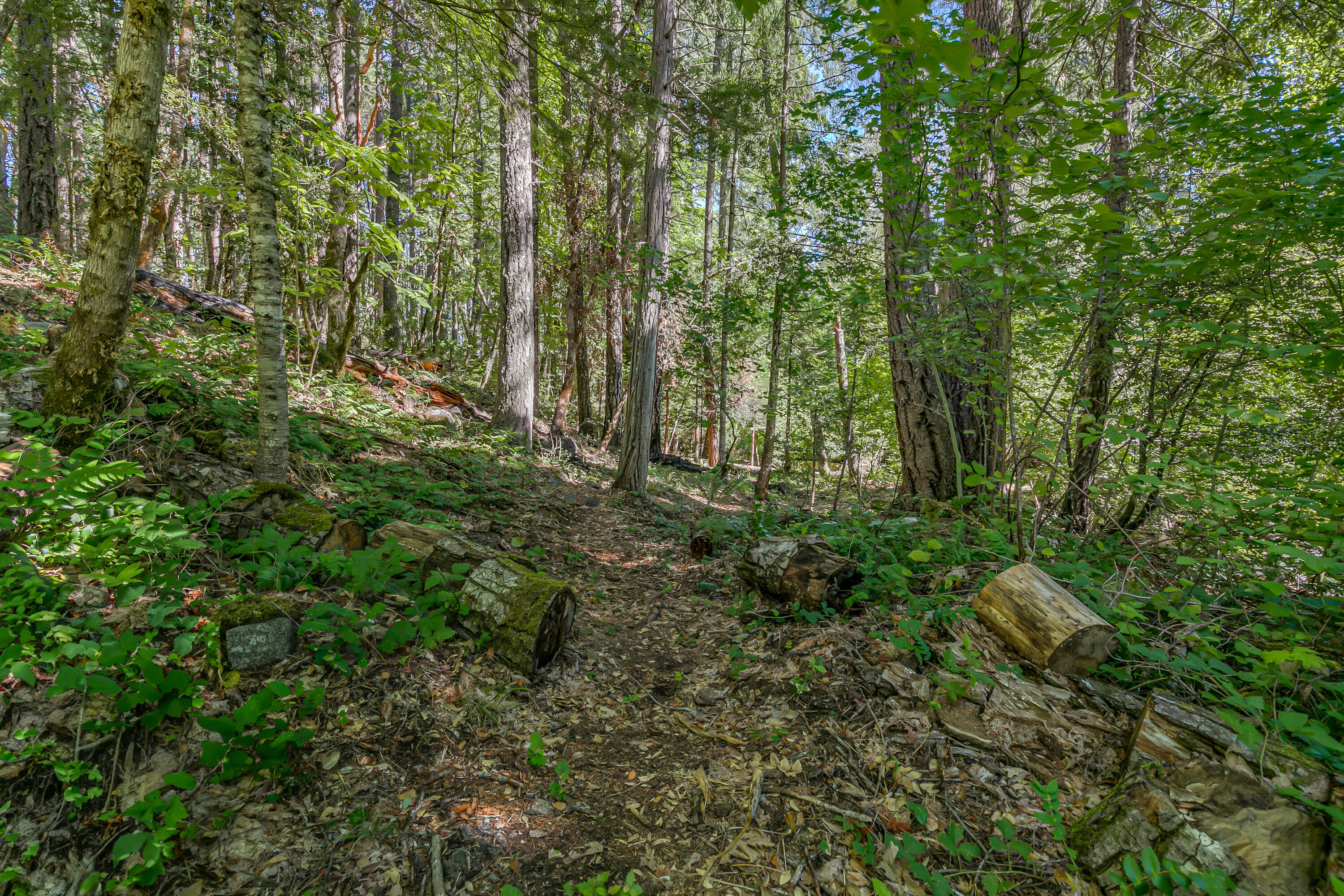 Williams Crossing - Residential