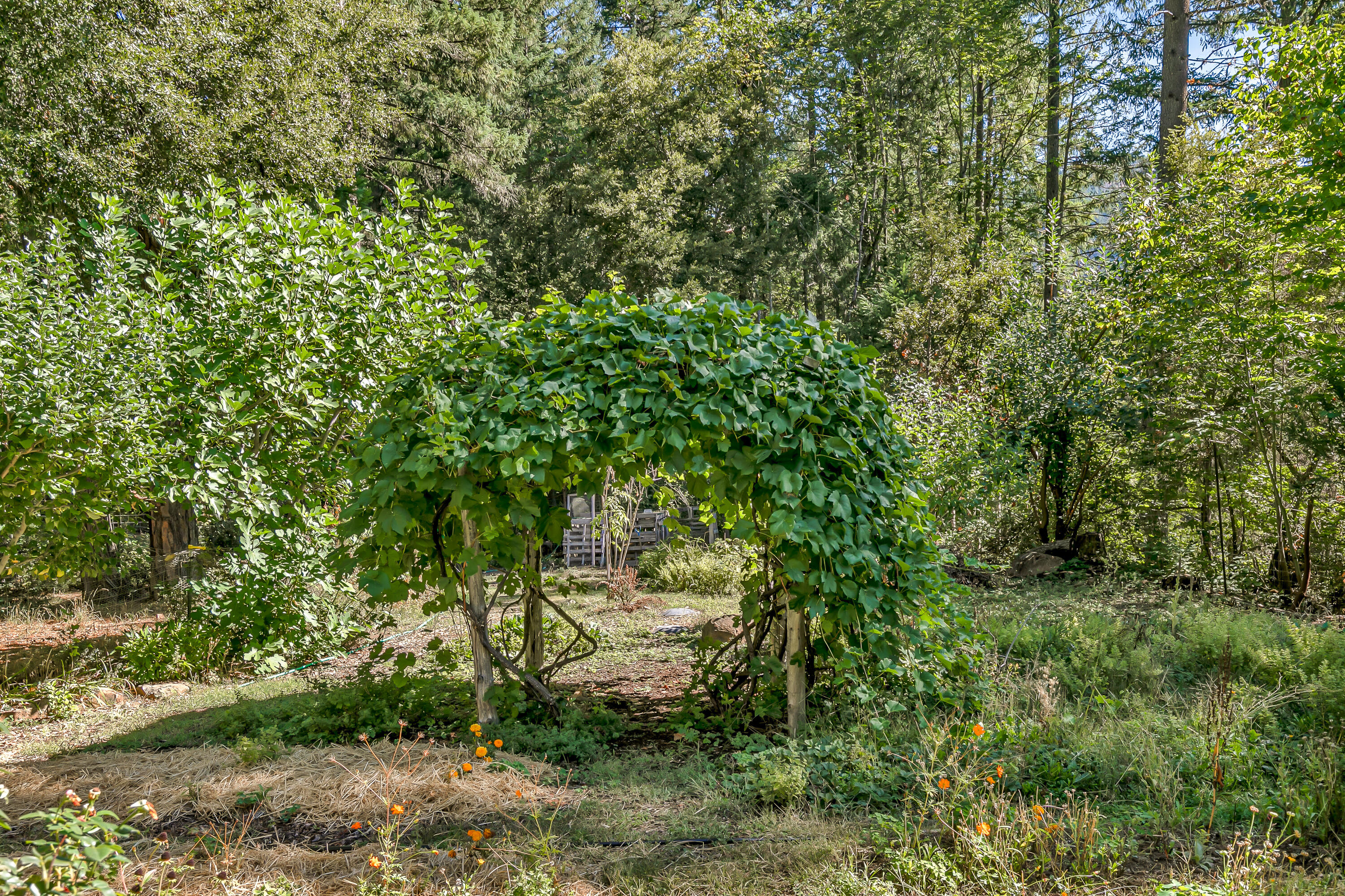 Williams Crossing - Residential