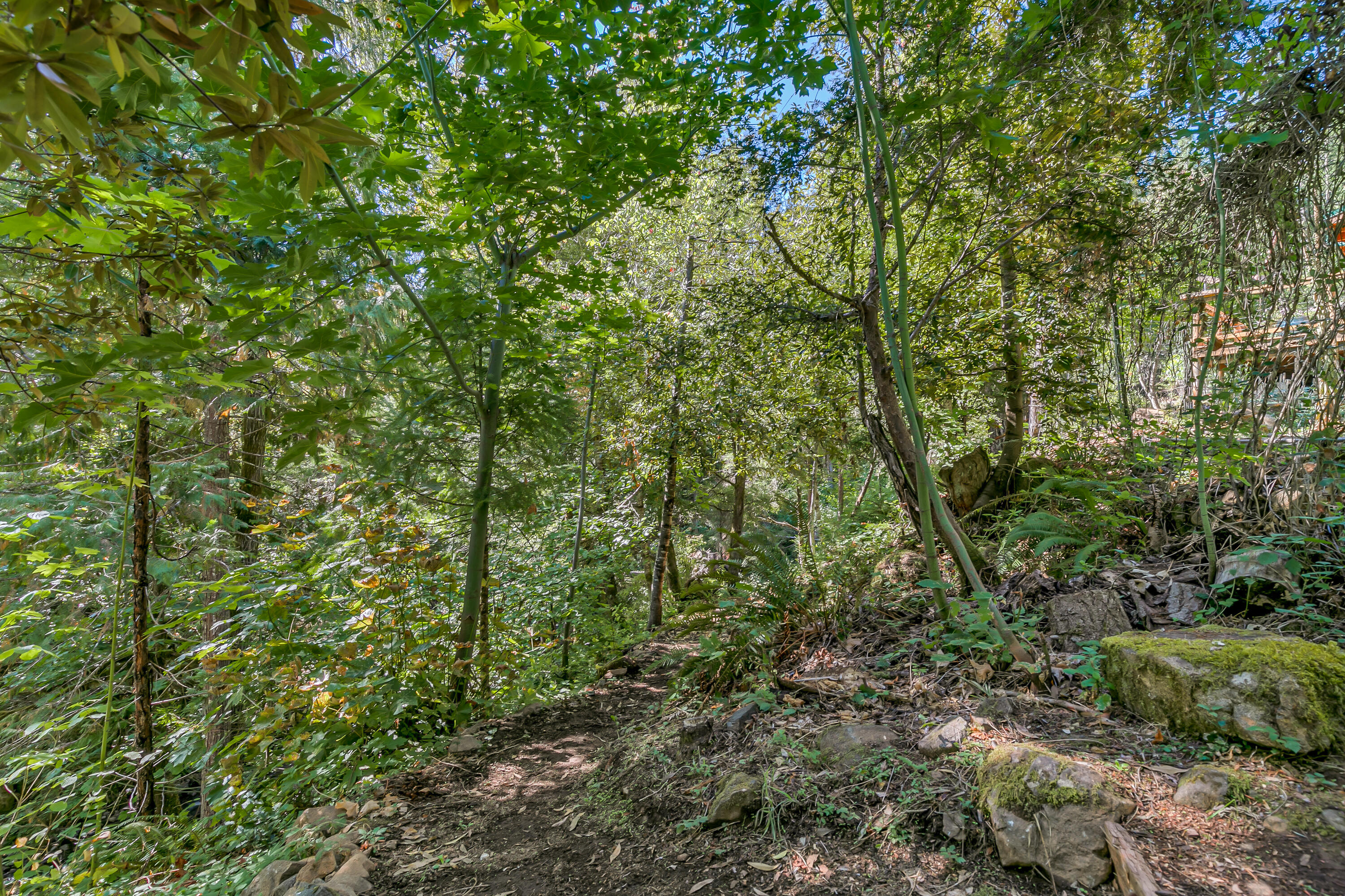 Williams Crossing - Residential