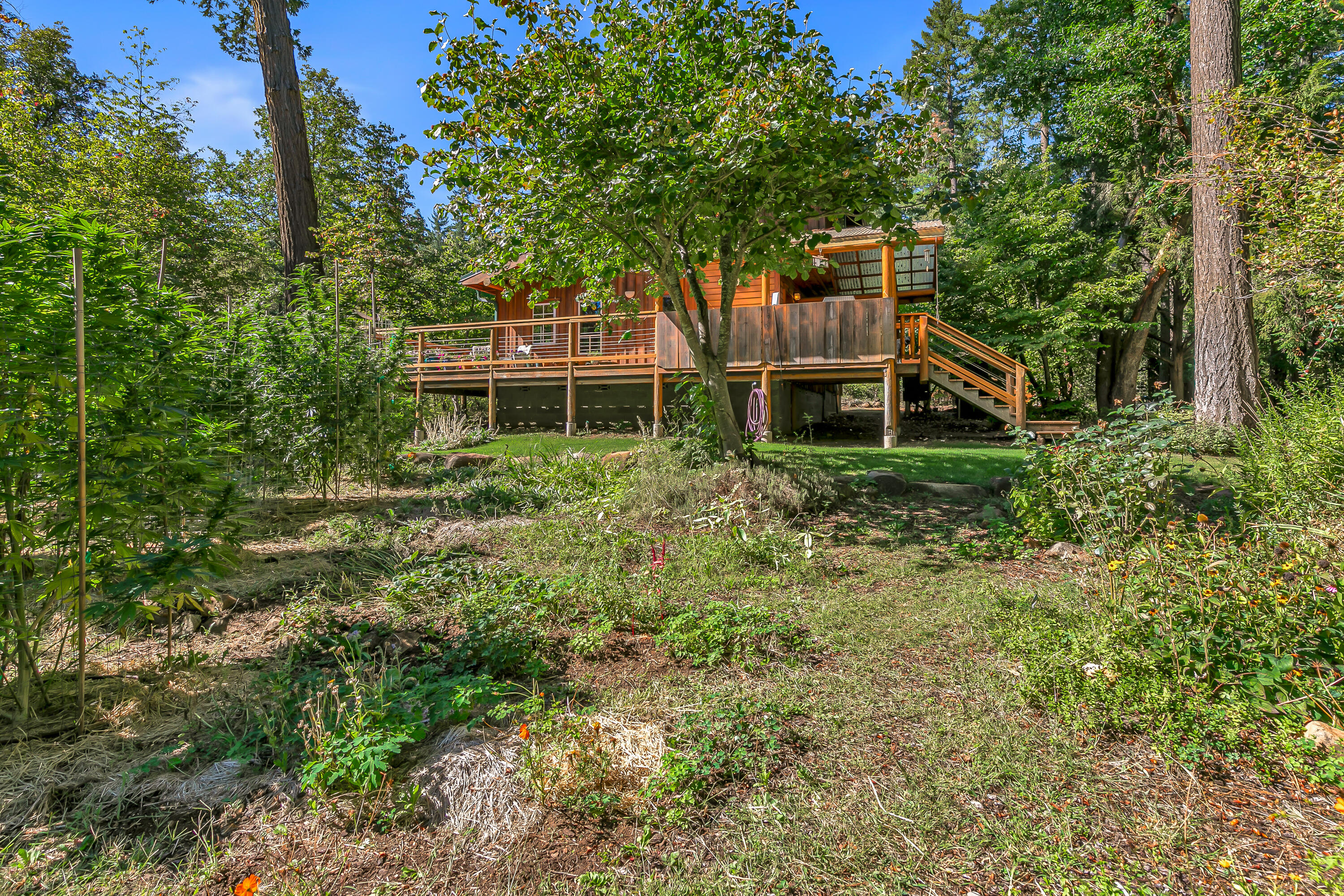 Williams Crossing - Residential