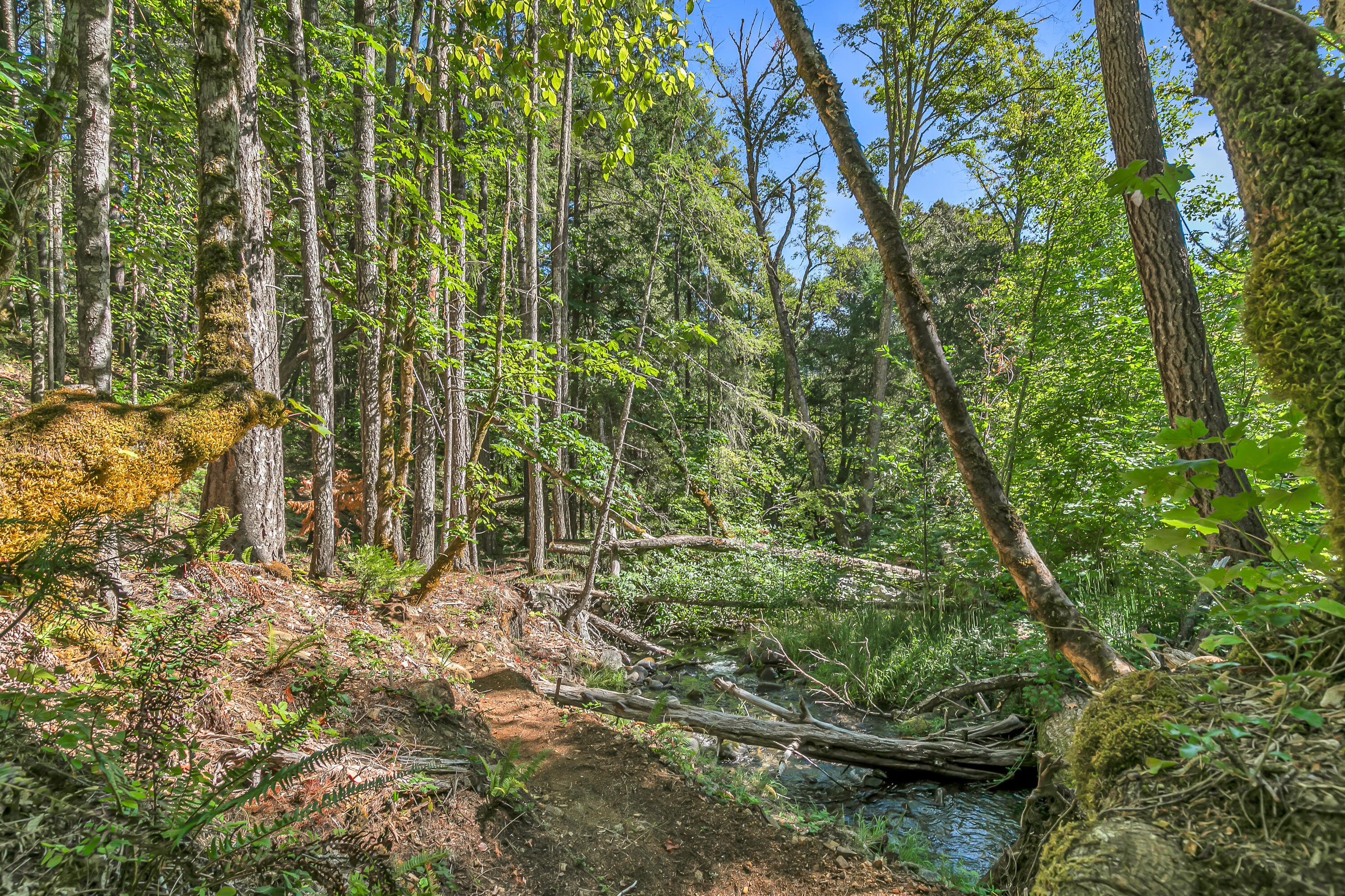 Williams Crossing - Residential