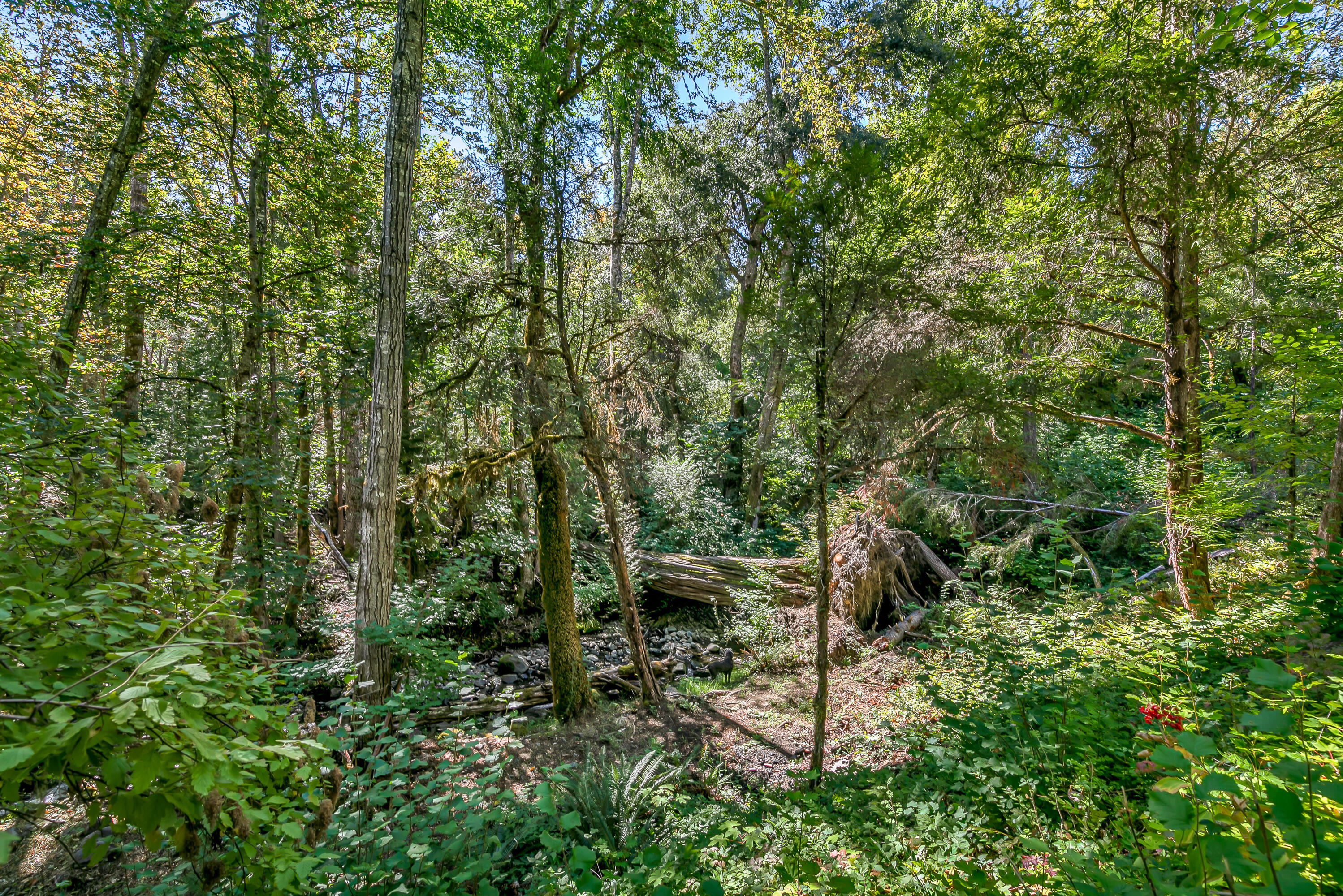 Williams Crossing - Residential