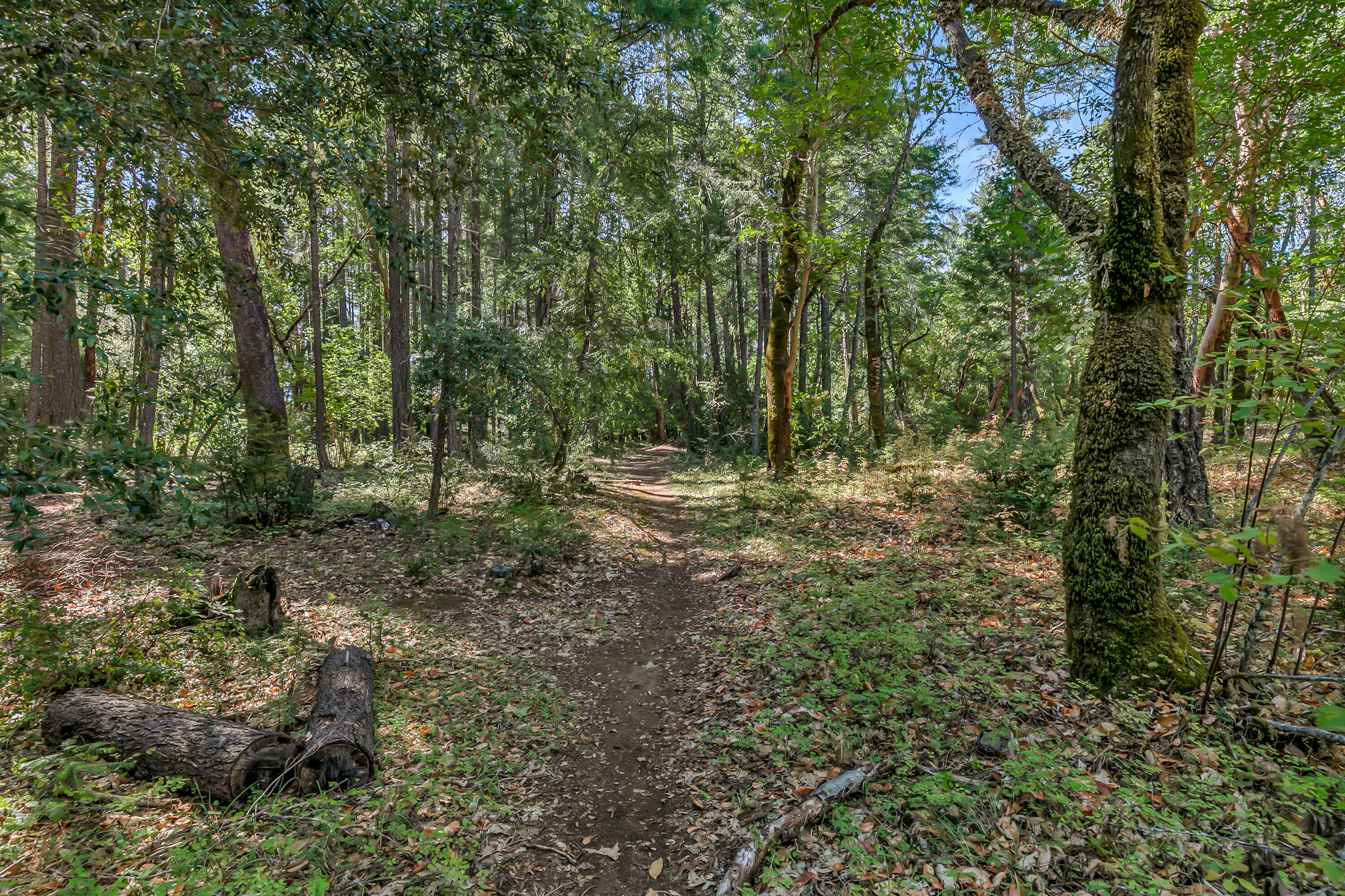 Williams Crossing - Residential