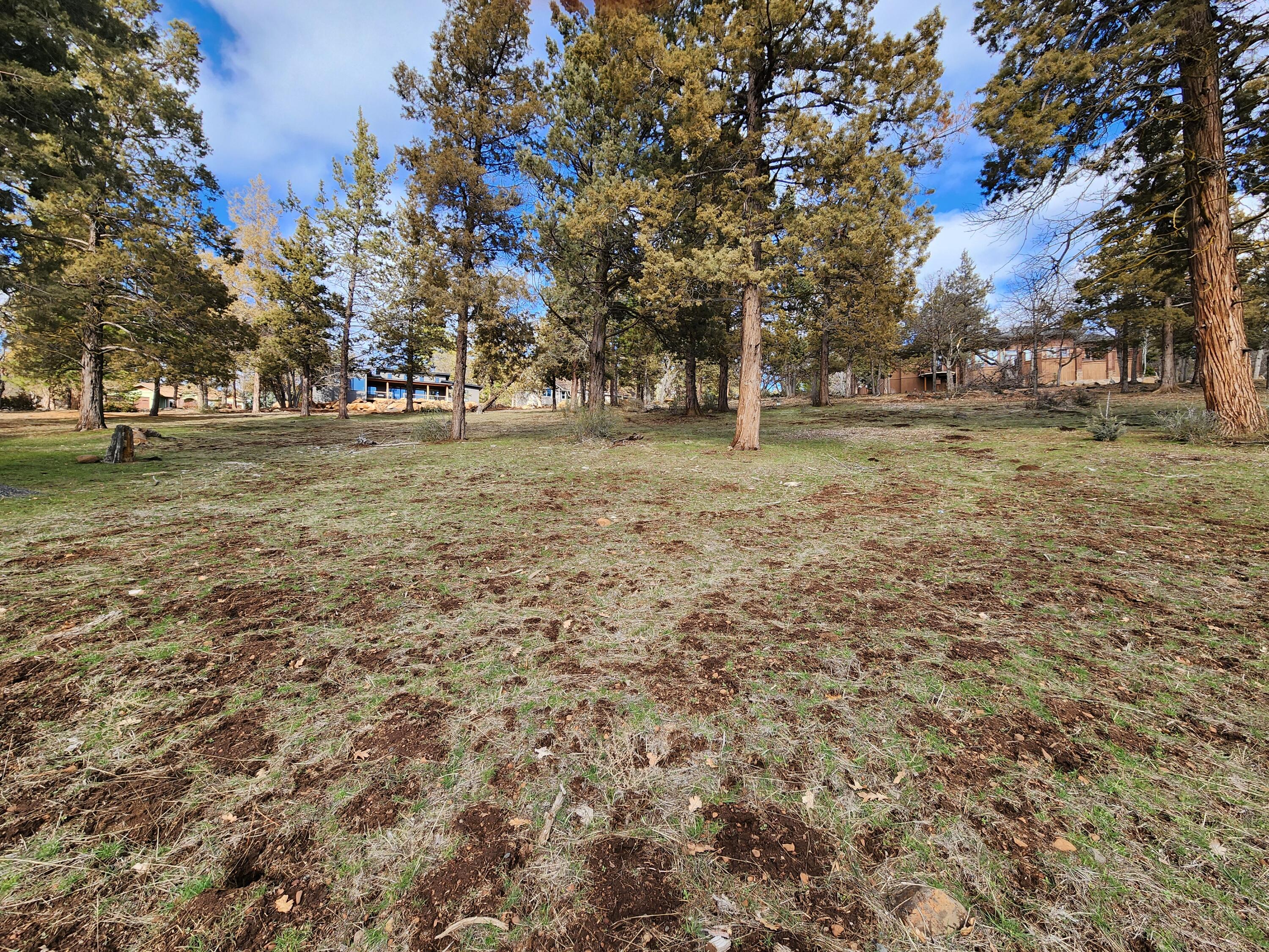 Running YResort - Land