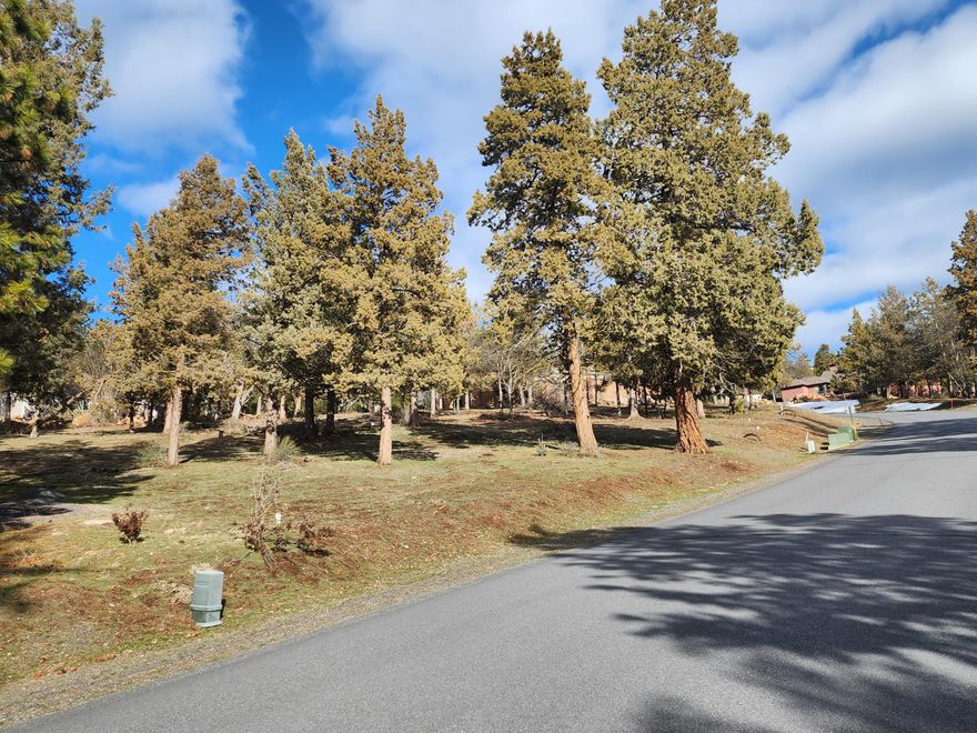 Create your dream home on this 0.48-acre lot on Coopers Hawk Road located in the gorgeous Running Y Ranch Resort. The lot has a gentle slope and minimal rocks and trees, ideal for excavation. With no time-constraints on building, start taking advantage of amazing resort amenities while designing the perfect home! Enjoy amenities like fitness center w/indoor pool&spa, dog park & on-site dining options like the Ruddy Duck Restaurant, general store & deli, plus breathtaking views & abundant wildlife on the miles of scenic walking/biking trails. HOA dues also include 24/7 security & on-site support during reg. business hours, ensuring peace of mind. Golfers will love the Arnold Palmer-designed golf course in the center of the resort. Don't miss the opportunity to invest in one of Southern Oregon's most sought-after resort communities. Whether you plan to build now or later, this lot offers a perfect blend of natural beauty & luxury living. Neighboring .48 acre lot also available.