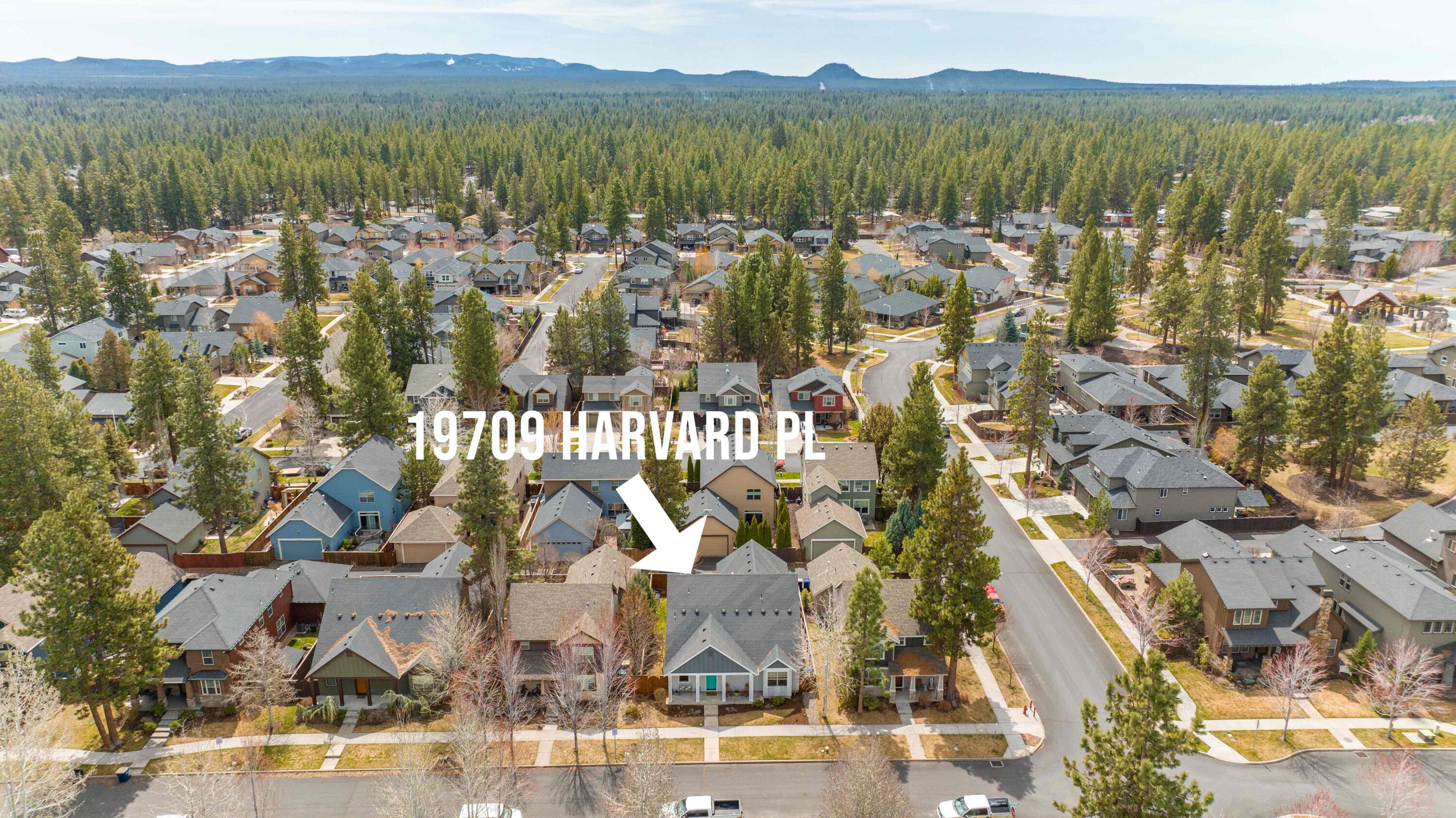 Hollygrape - Residential