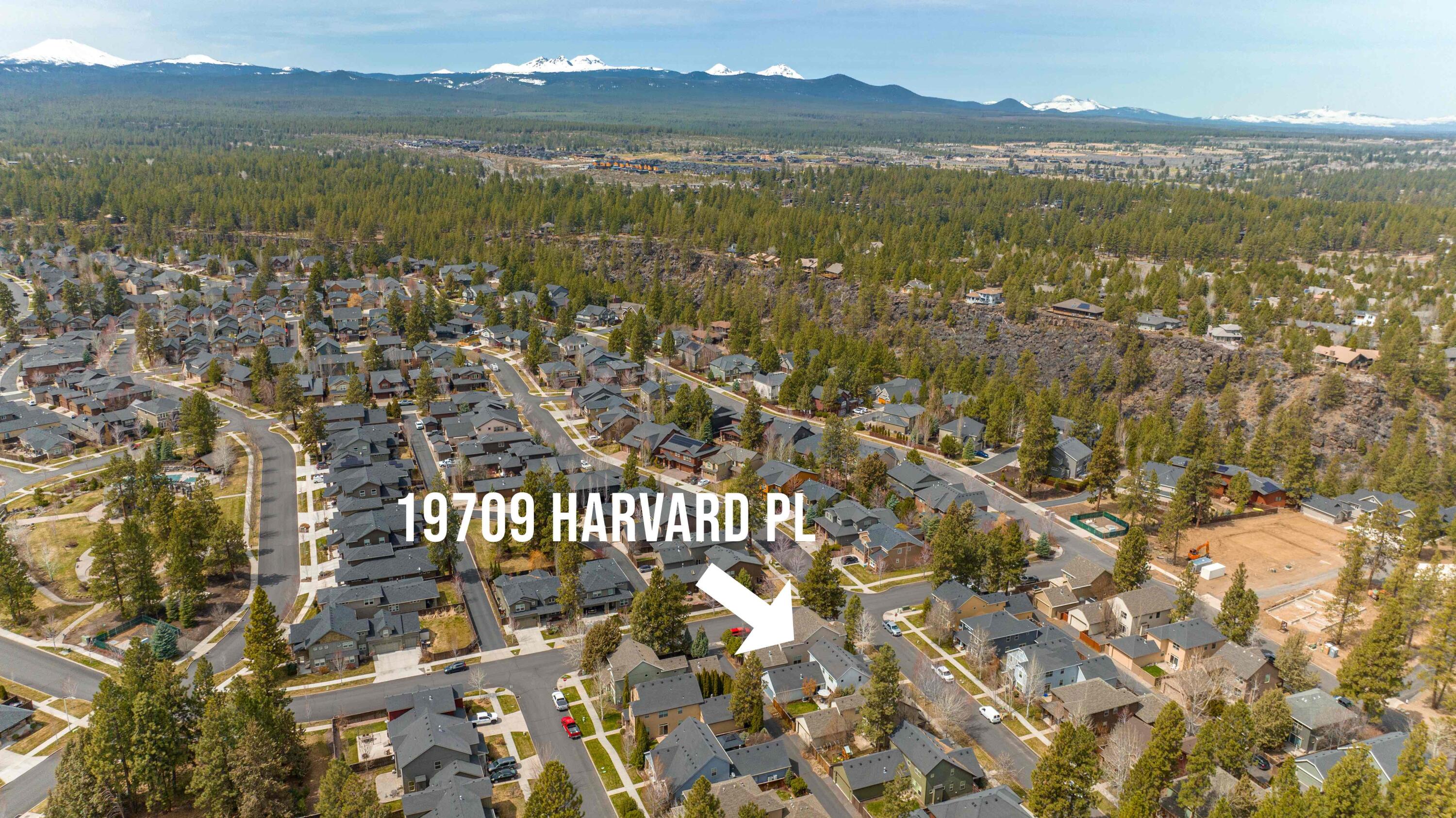 Hollygrape - Residential