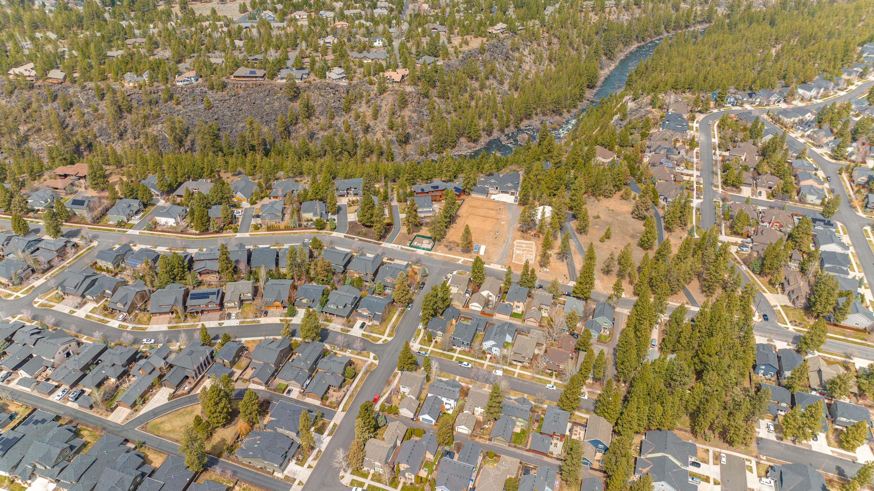 Hollygrape - Residential