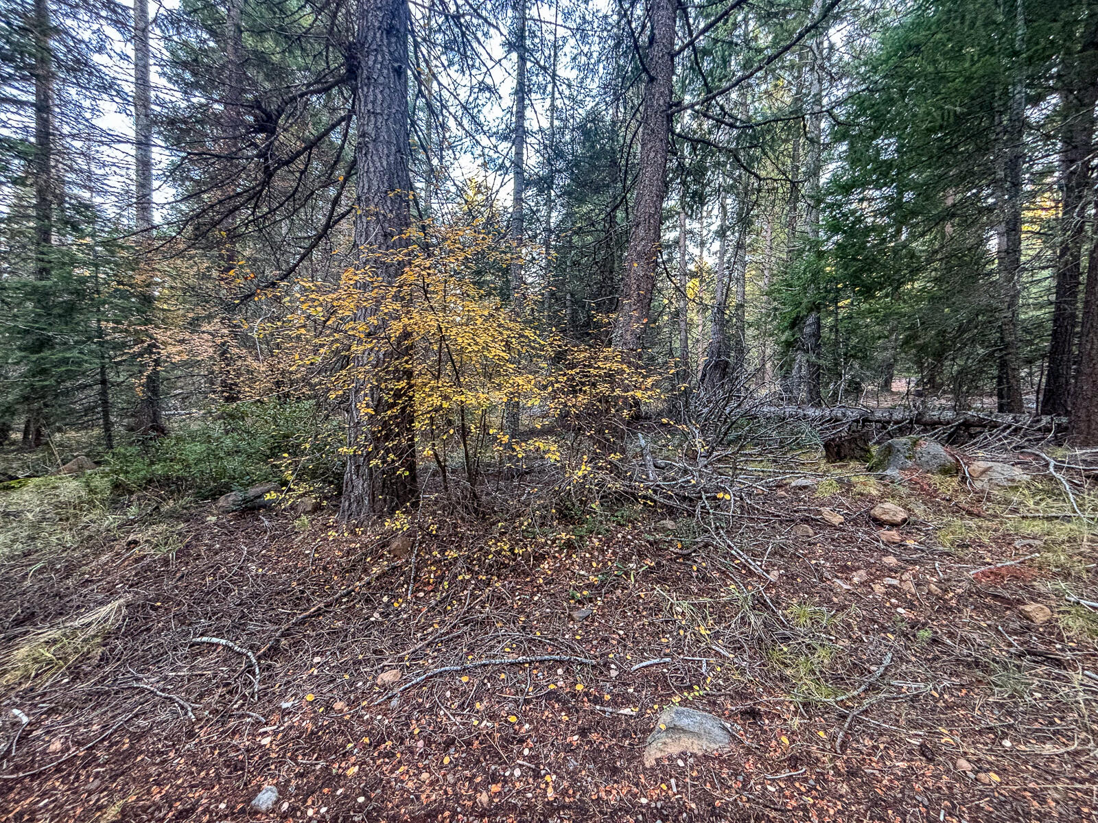 Arrowhead Village - Land