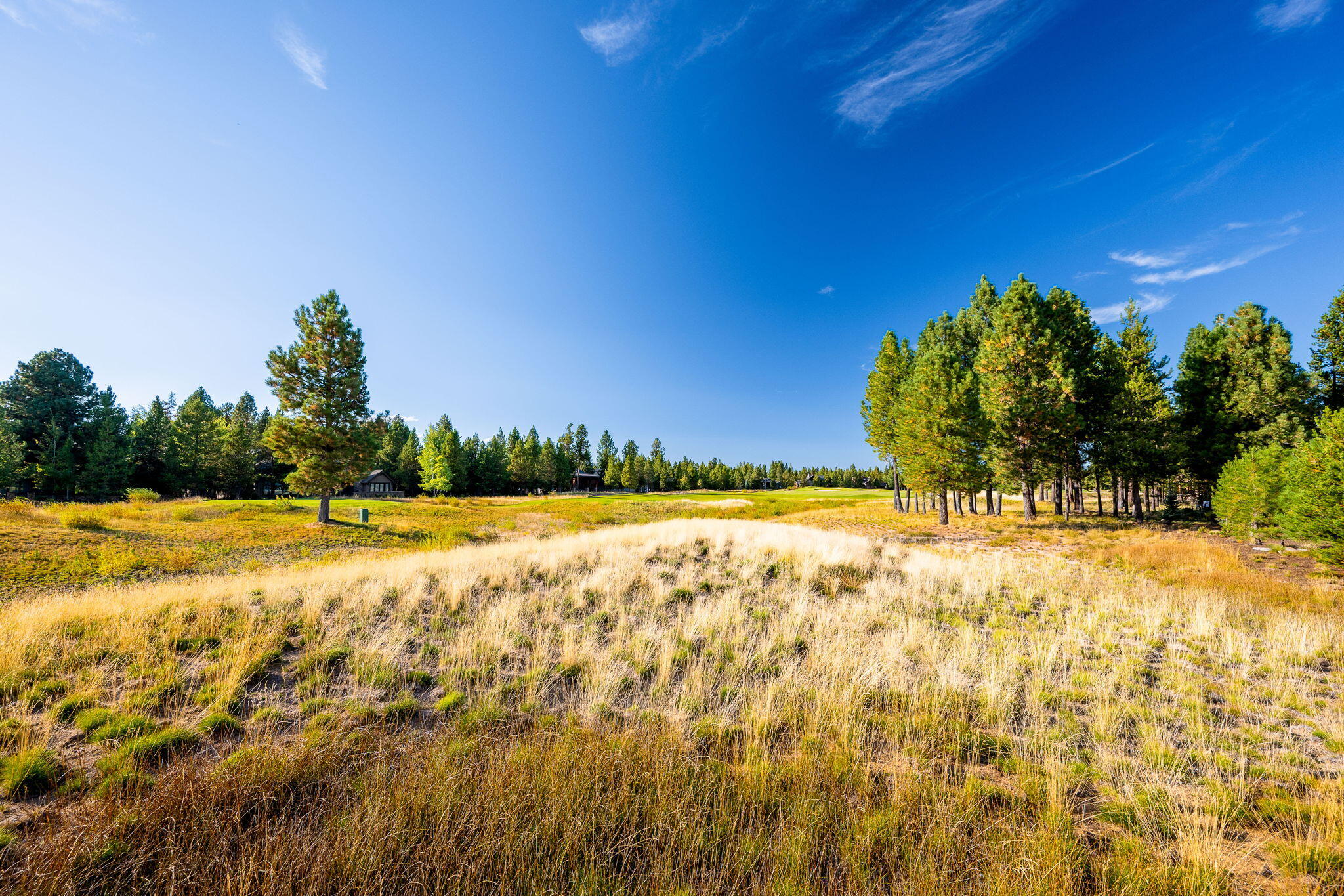 Caldera Springs - Residential