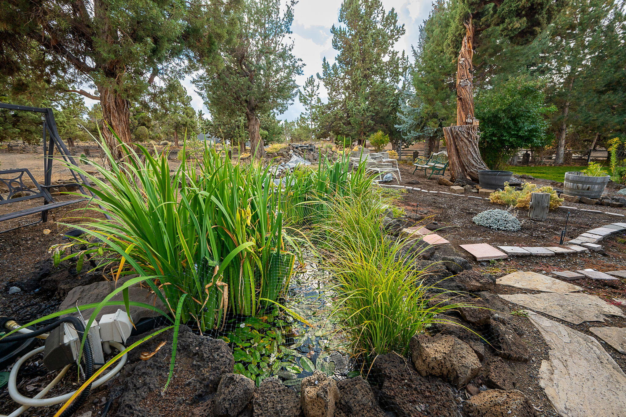 Boonesborough - Residential