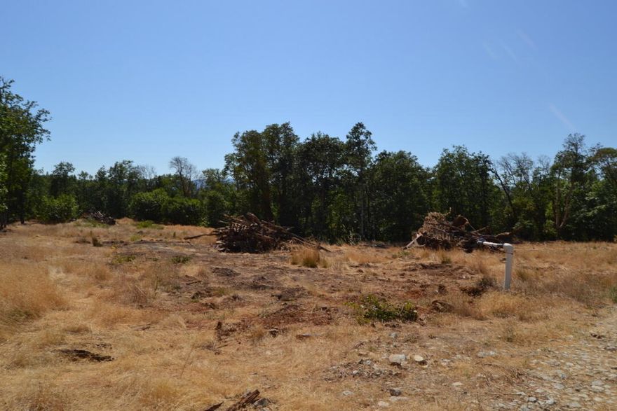 Beautiful 5+ acre parcel just one mile from Merlin and minutes to the I-5 on-ramp. This open, mostly level property is ringed with trees and offers great views in a peaceful setting. A rare opportunity to own usable land at a price well below tax-assessed value. Don't miss this chance to build or invest affordably in a prime location.