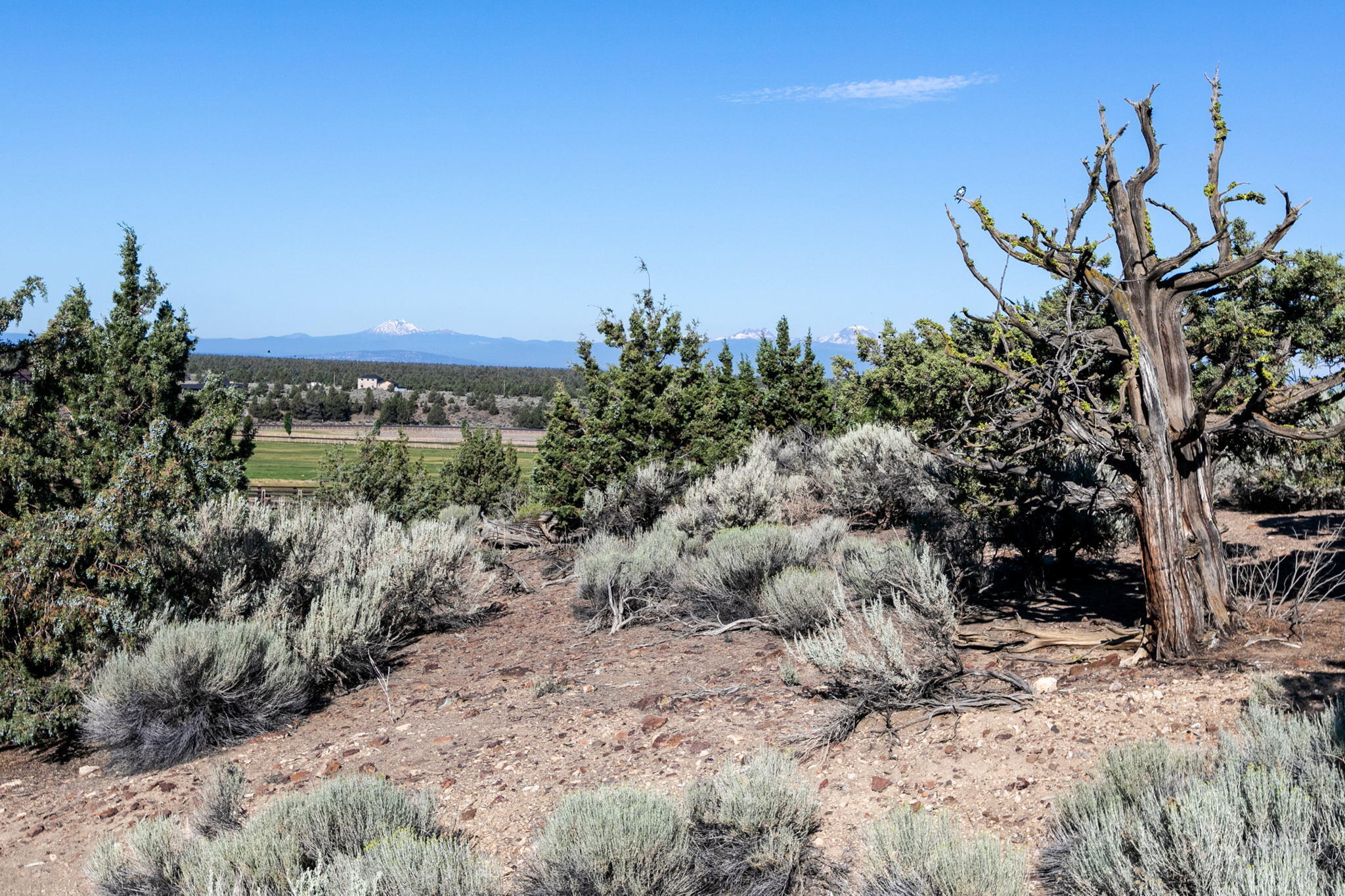 Brasada Ranch - Land