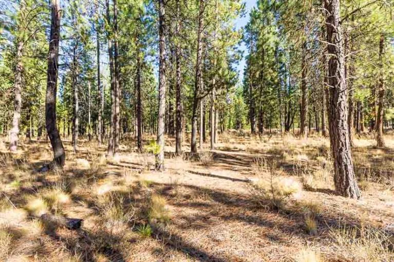 Caldera Springs - Land