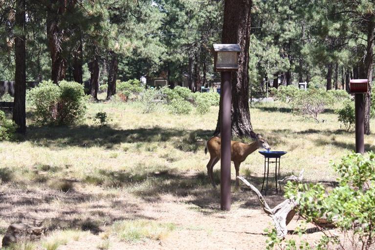 Deschutes RiverWoods - Residential