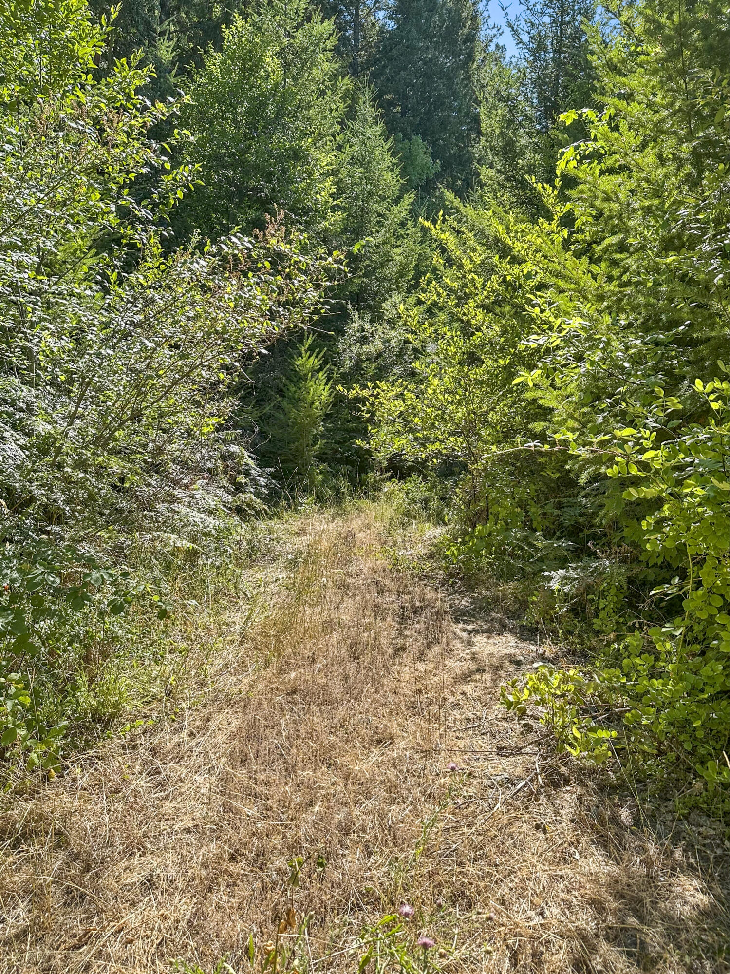 Glendale, Tow NOf Julia - Land