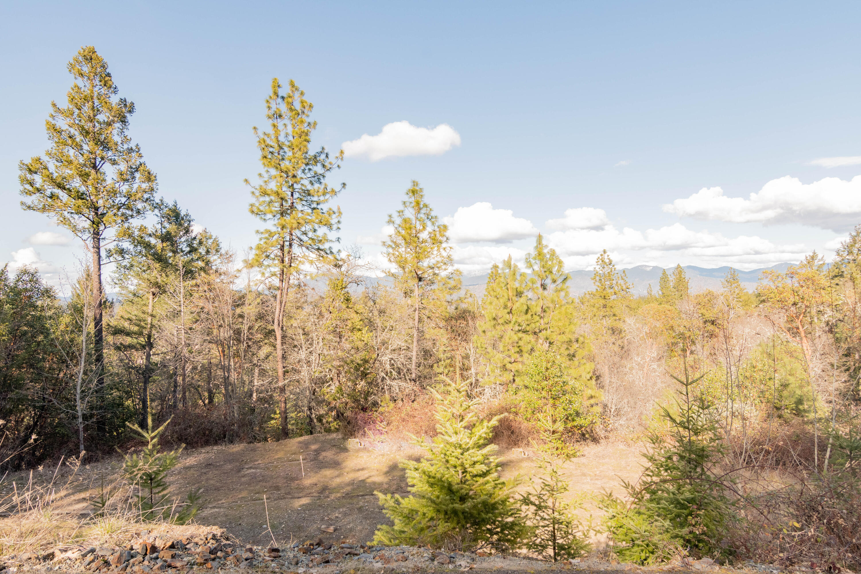 Timber Ridge Subdivision - Land