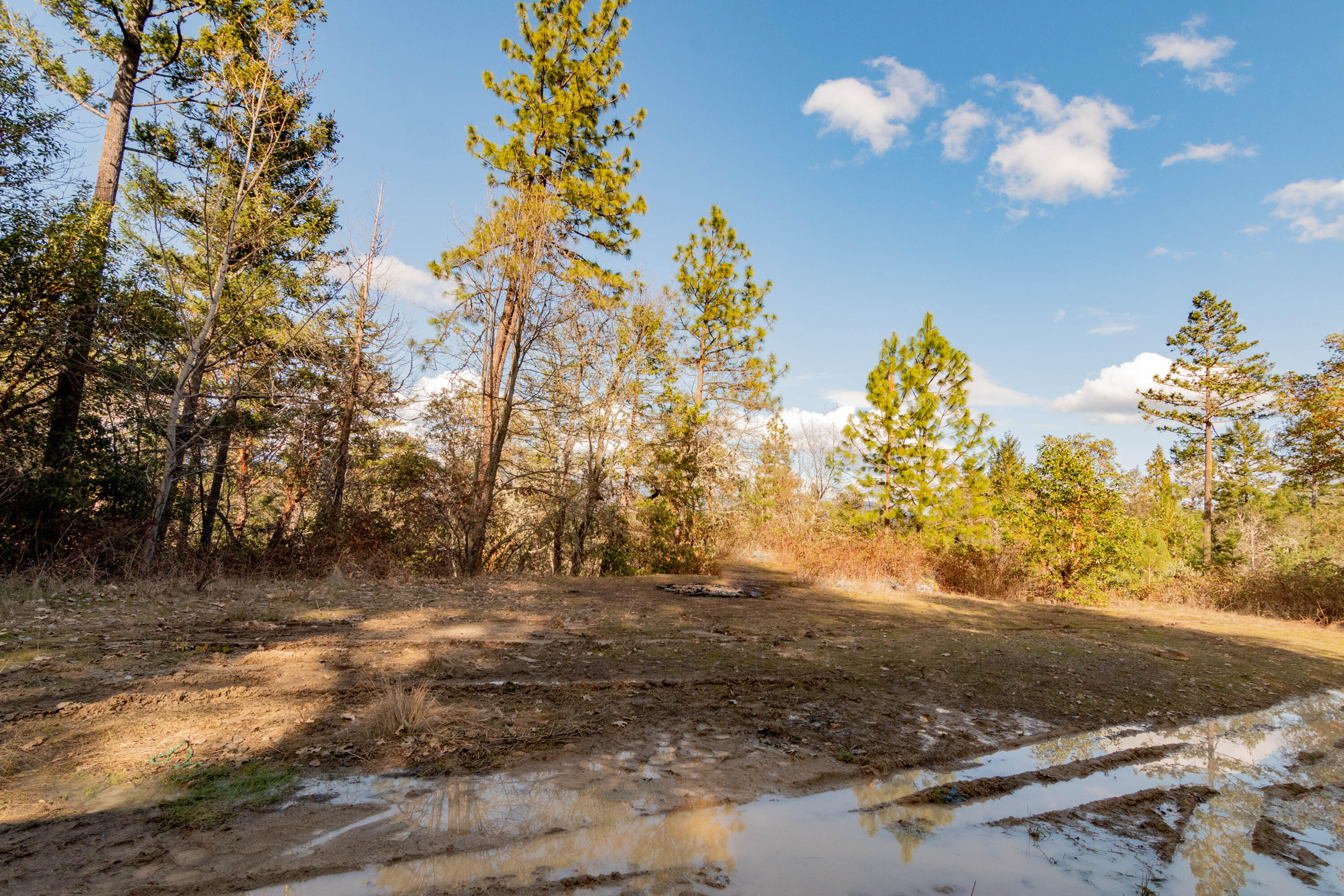 Timber Ridge Subdivision - Land