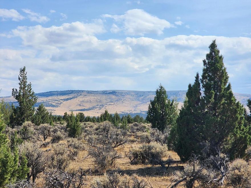 Discover the perfect canvas for your rural dreams with this level 10-acre parcel in scenic Prineville! Zoned for farm use, this property offers endless opportunities for agricultural activities—from grazing your animals to cultivating your own crops. Enjoy stunning views of the surrounding forest and mountains, and create your own private slice of Central Oregon paradise.