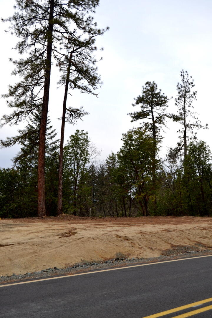 Sylvan Heights - Land