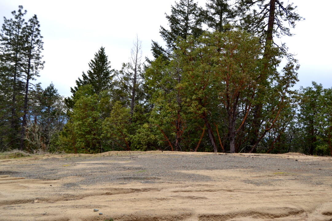 Sylvan Heights - Land