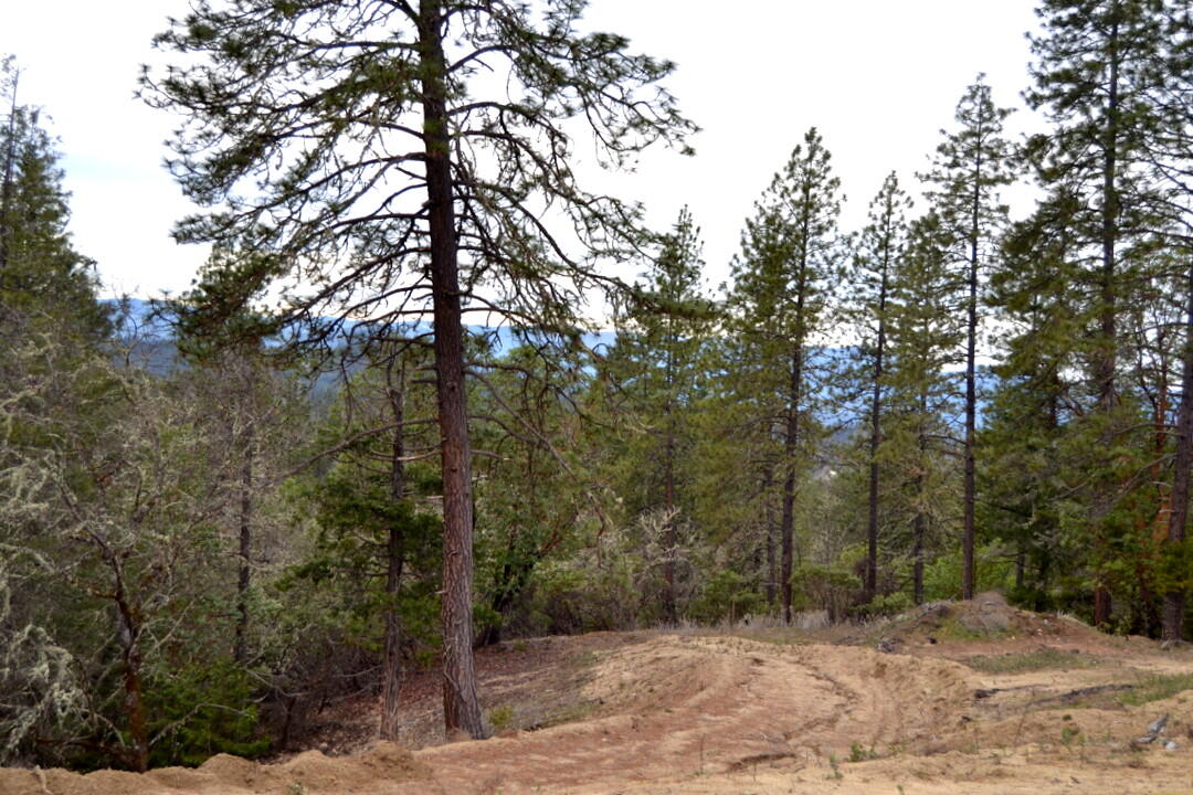 Sylvan Heights - Land