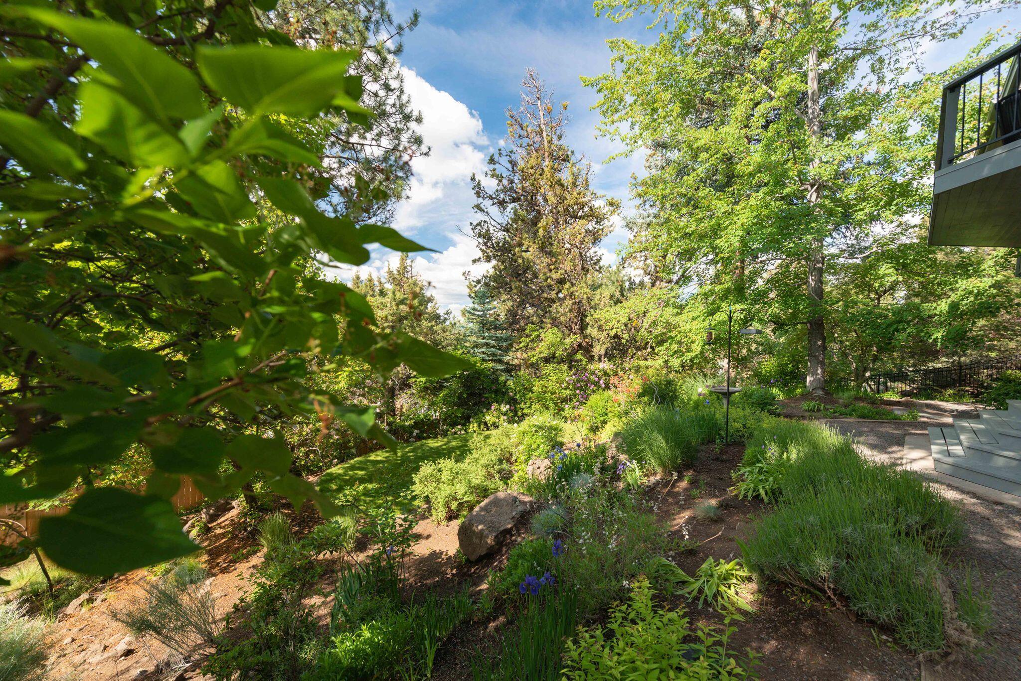 West Hills - Residential