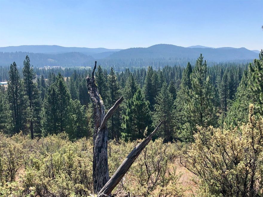 Easy access to this nicely timbered property, this property hasn't been timbered for decades which has resulted in good mature timber. Adjacent to Chiloquin Ranger Station which makes utilities relatively easy. Great homesite locations with wildlife which includes Elk, Deer, Bear, Cougar, Upland Birds and more. US Forest on 2 sides Only 3 minutes to Chiloquin and 30 minutes to Klamath Falls and 23 minutes to Crater Lake.