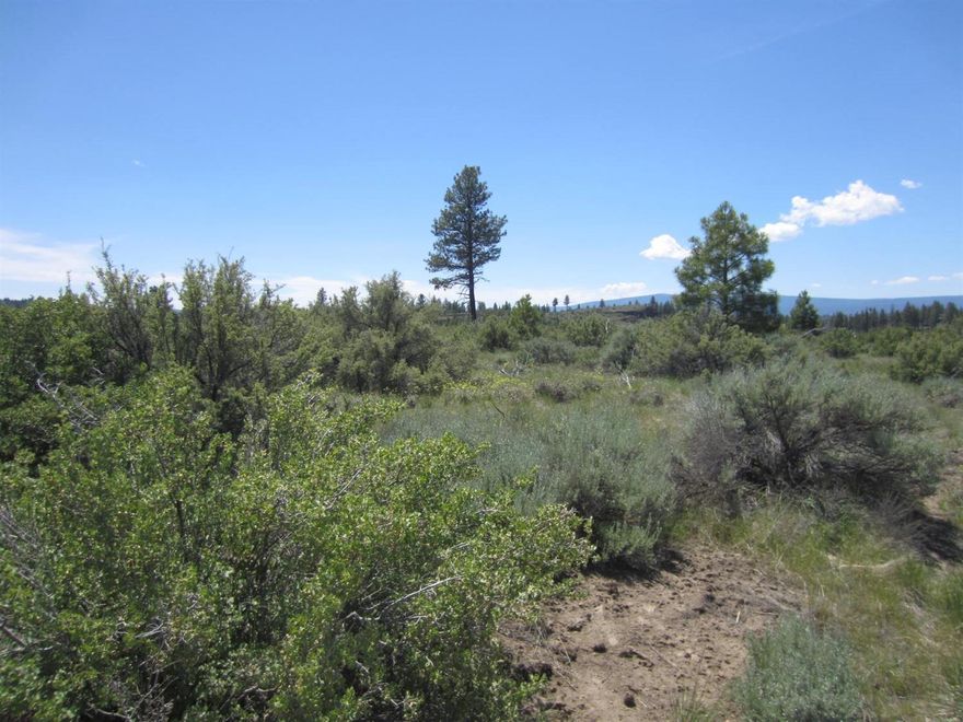Over two acres of remote property for your cabin or home. The land is level with sandy soil, there are a few homes and cabins throughout the area.